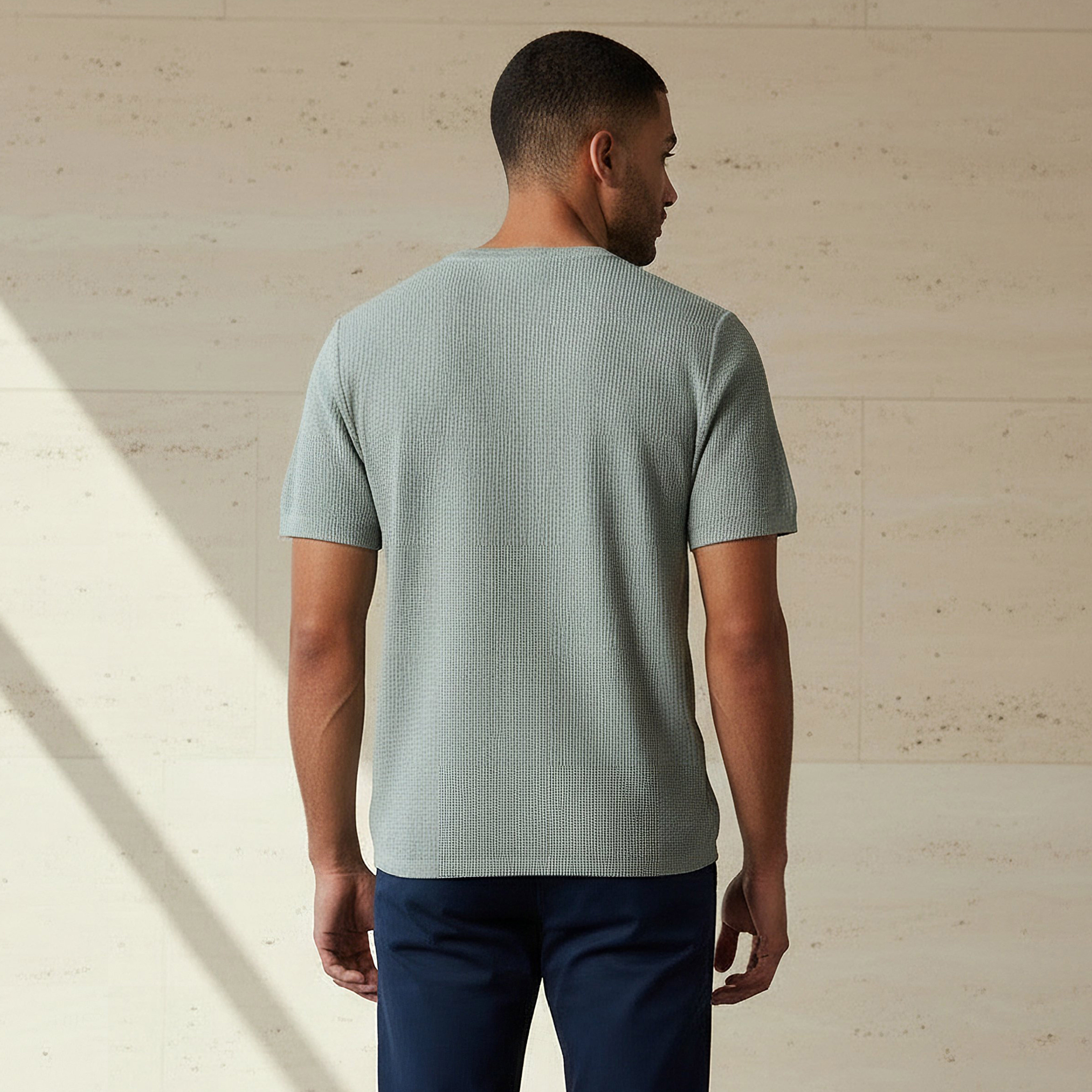 Men Regular Fit Crew Neck Short Sleeves Textured T-shirt-men-clothing-tshirtsandpolos-tshirts-image-3