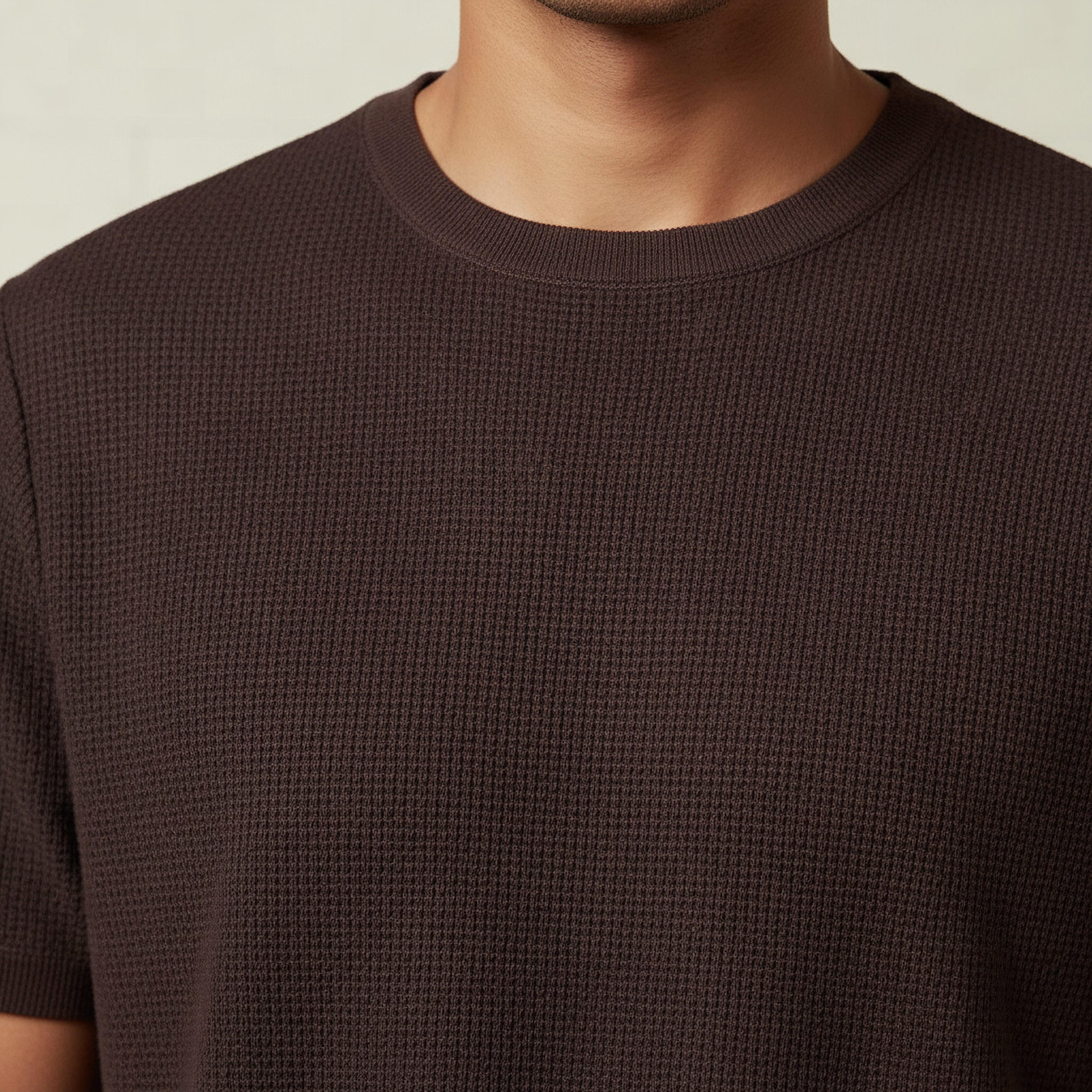 Men Regular Fit Crew Neck Short Sleeves Textured T-shirt-men-clothing-tshirtsandpolos-tshirts-image-4