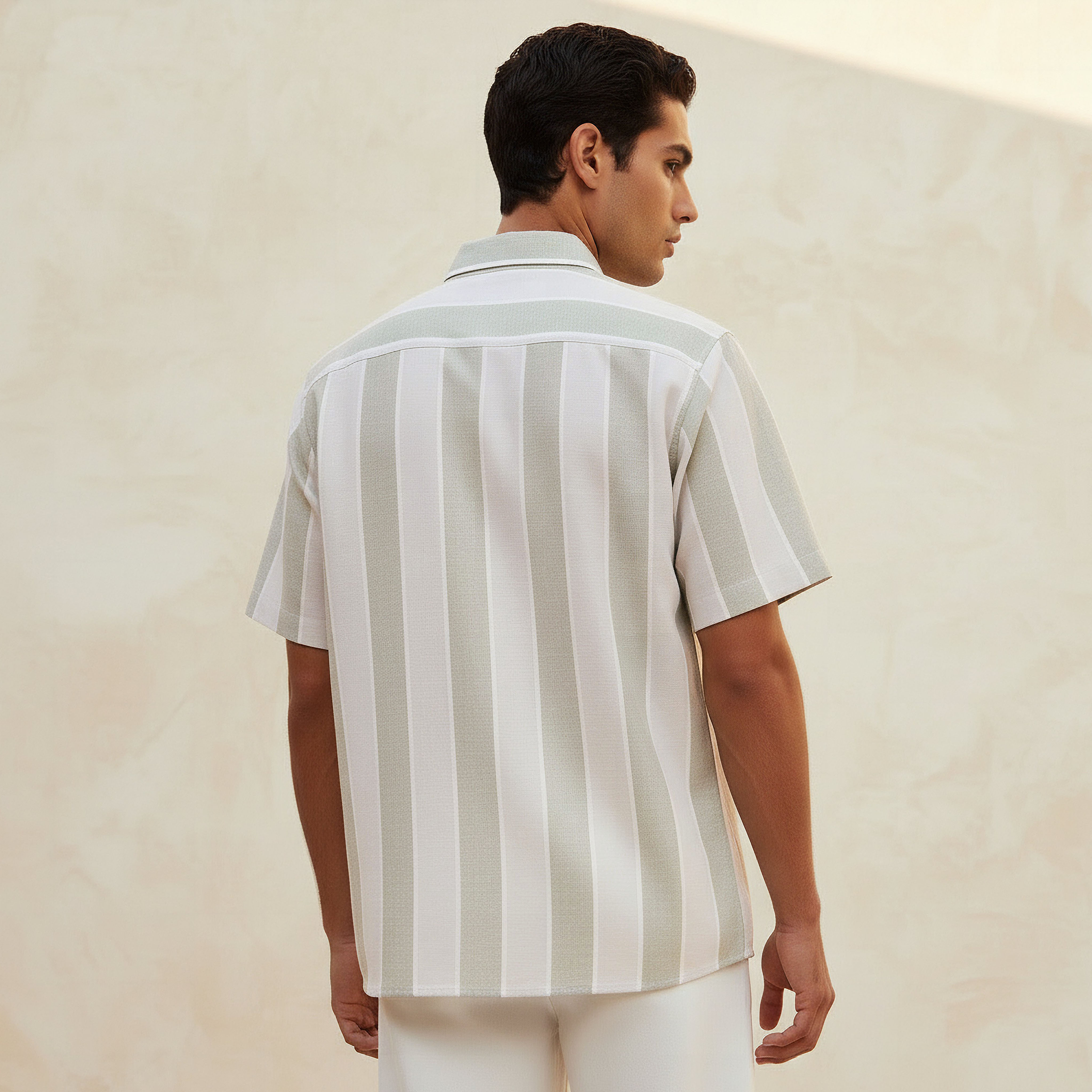 Men Regular Fit Collared Striped Short Sleeve Shirt-men-clothing-shirts-image-4