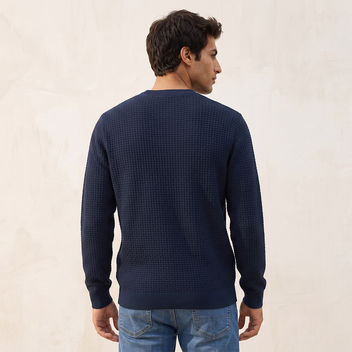 Splash Smart Crew Neck Textured Sweater-men-clothing-sweatersandpullovers-image-3