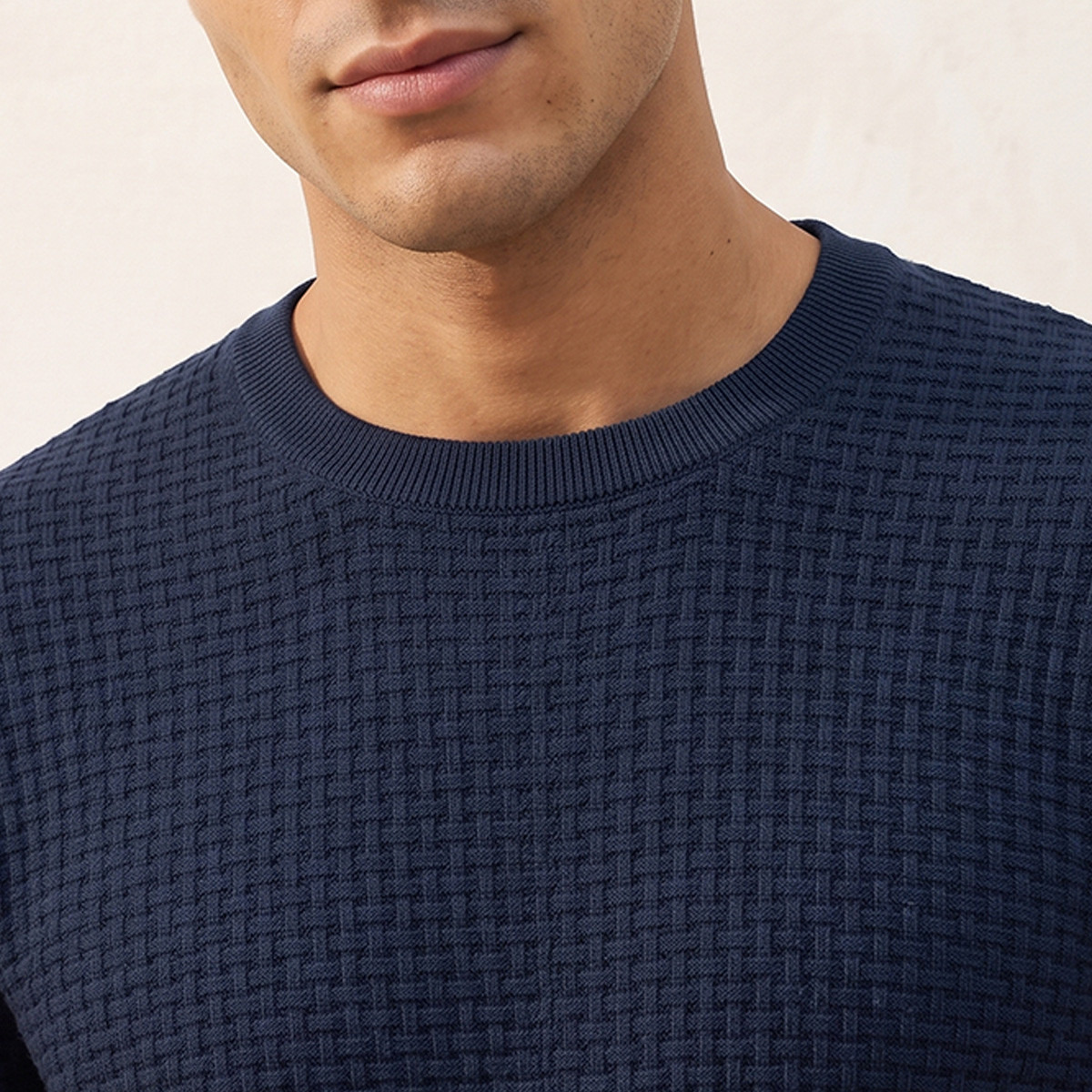 Splash Smart Crew Neck Textured Sweater-men-clothing-sweatersandpullovers-image-6