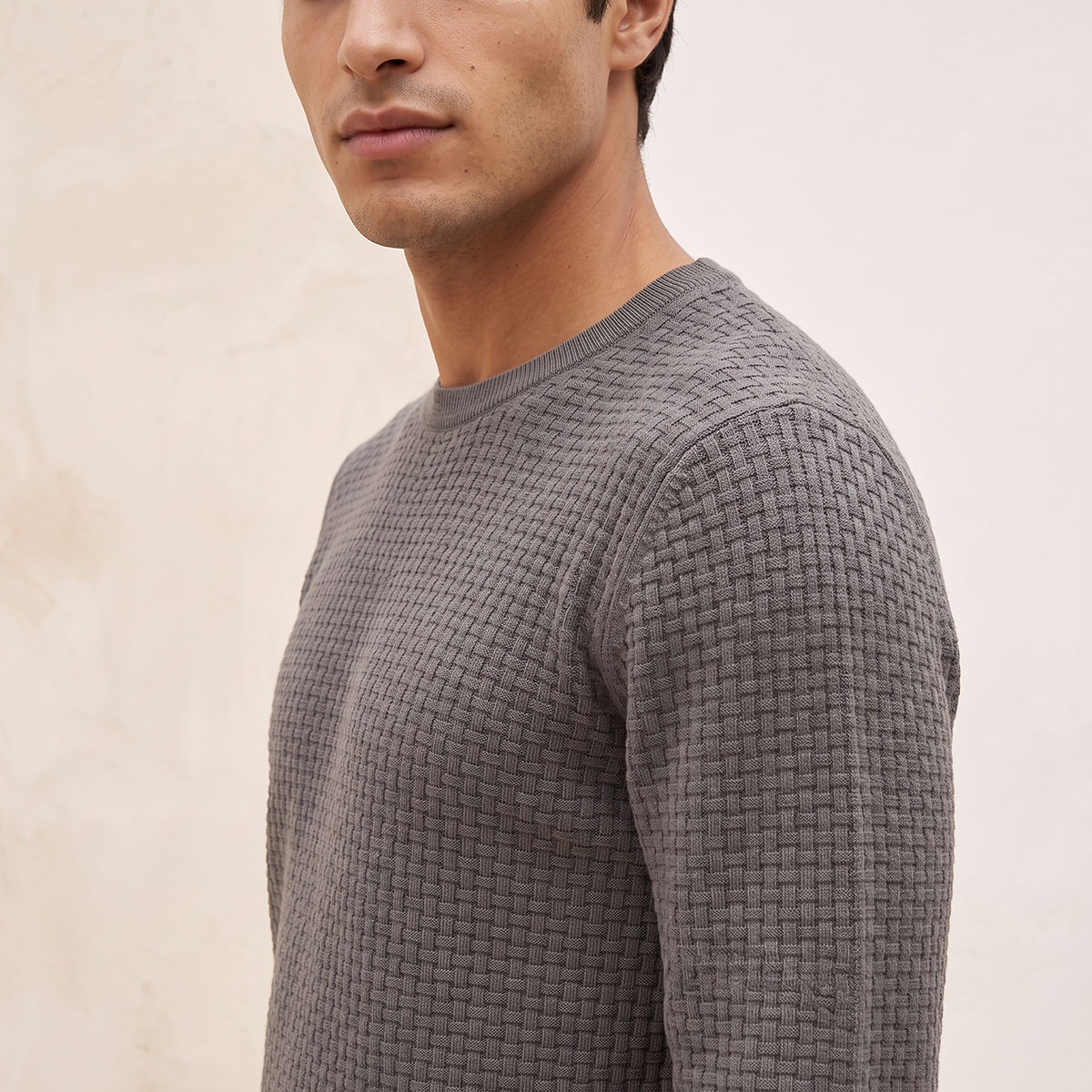 Splash Smart Crew Neck Textured Sweater-men-clothing-sweatersandpullovers-image-4