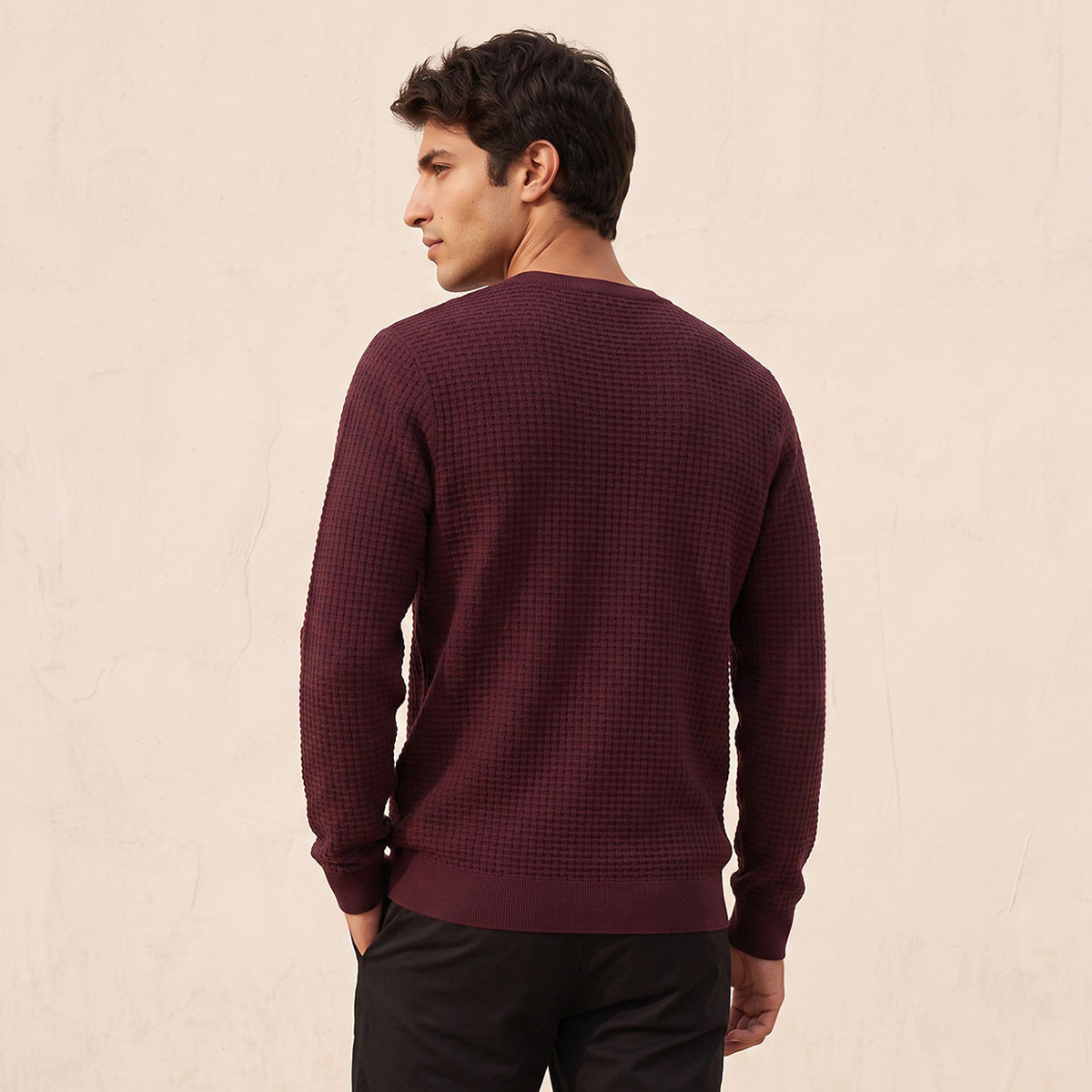 Splash Smart Crew Neck Textured Sweater-men-clothing-sweatersandpullovers-image-3