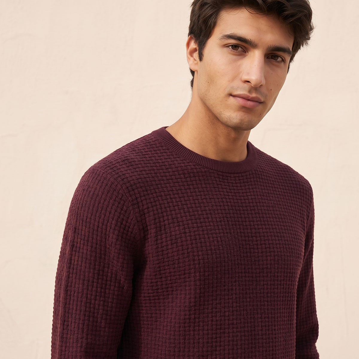 Splash Smart Crew Neck Textured Sweater-men-clothing-sweatersandpullovers-image-4