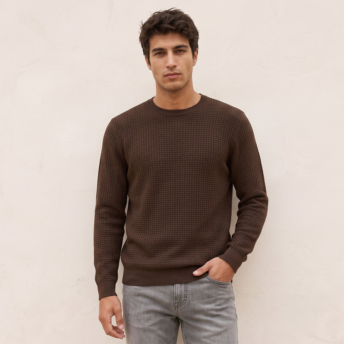 Splash Smart Crew Neck Textured Sweater-men-clothing-sweatersandpullovers-image-1
