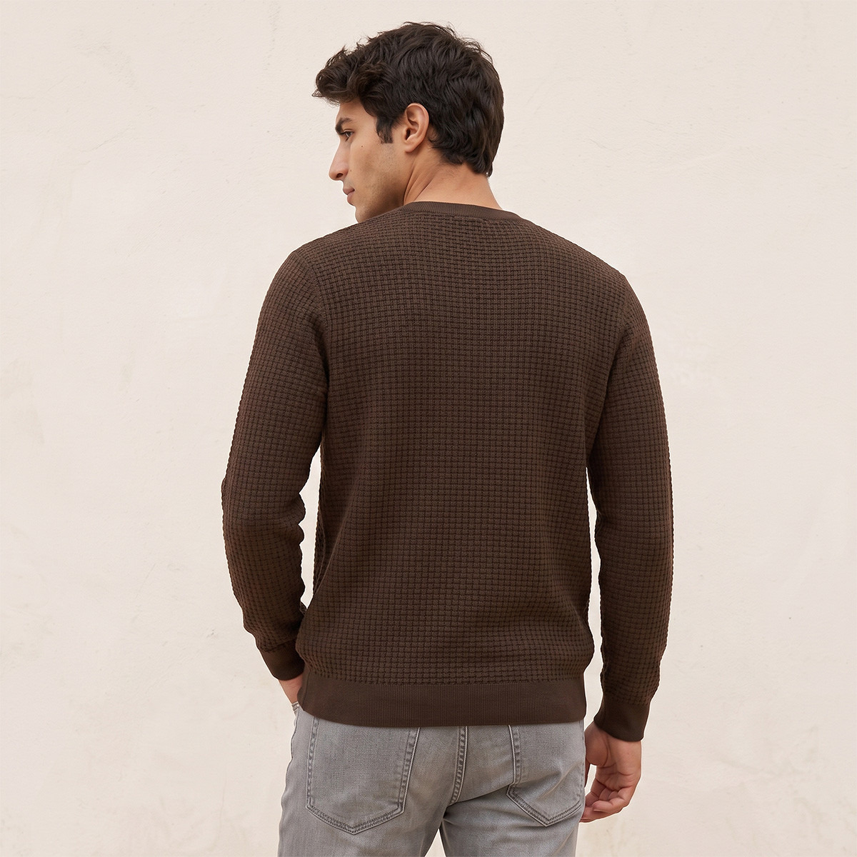Splash Smart Crew Neck Textured Sweater-men-clothing-sweatersandpullovers-image-3