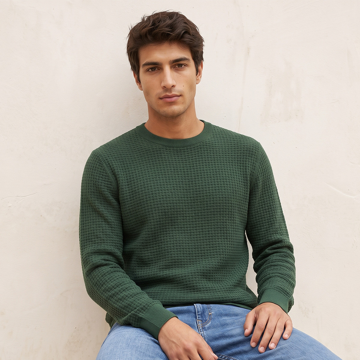 Splash Smart Crew Neck Textured Sweater-men-clothing-sweatersandpullovers-image-1
