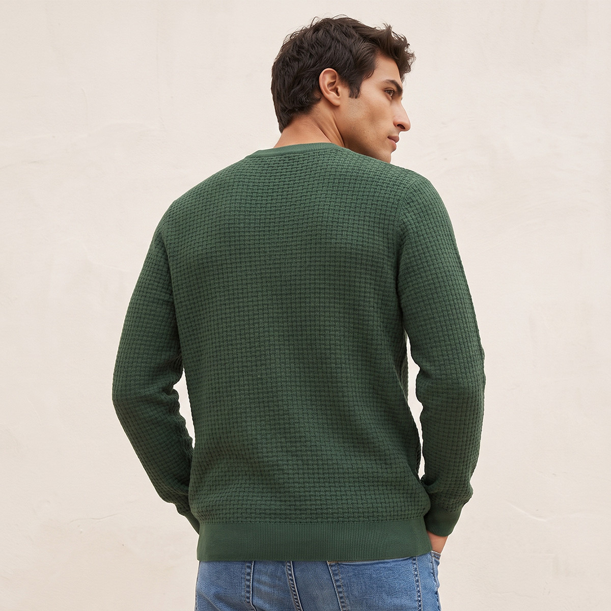 Splash Smart Crew Neck Textured Sweater-men-clothing-sweatersandpullovers-image-3