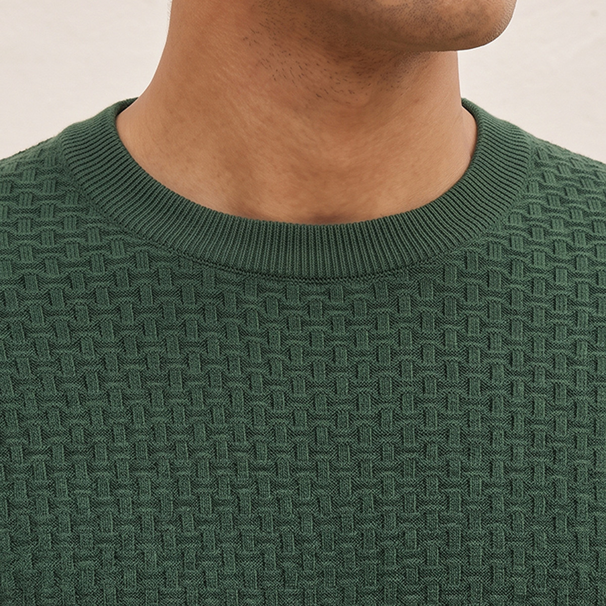 Splash Smart Crew Neck Textured Sweater-men-clothing-sweatersandpullovers-image-4