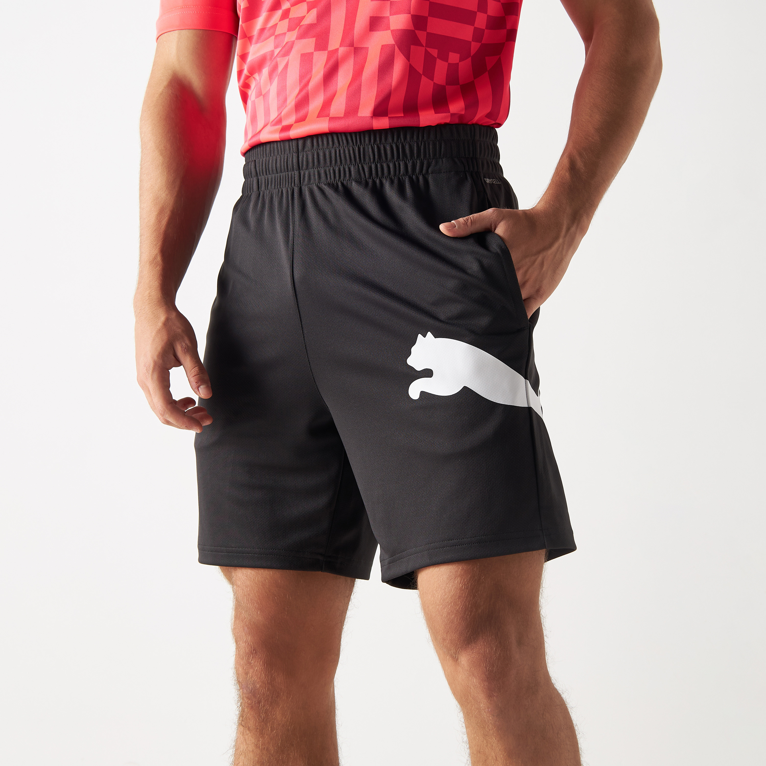 بوما شورت ترين أول داي بيج كات 7 إنش للرجال 523865 |OE-men-clothing-bottoms-shorts-image-1