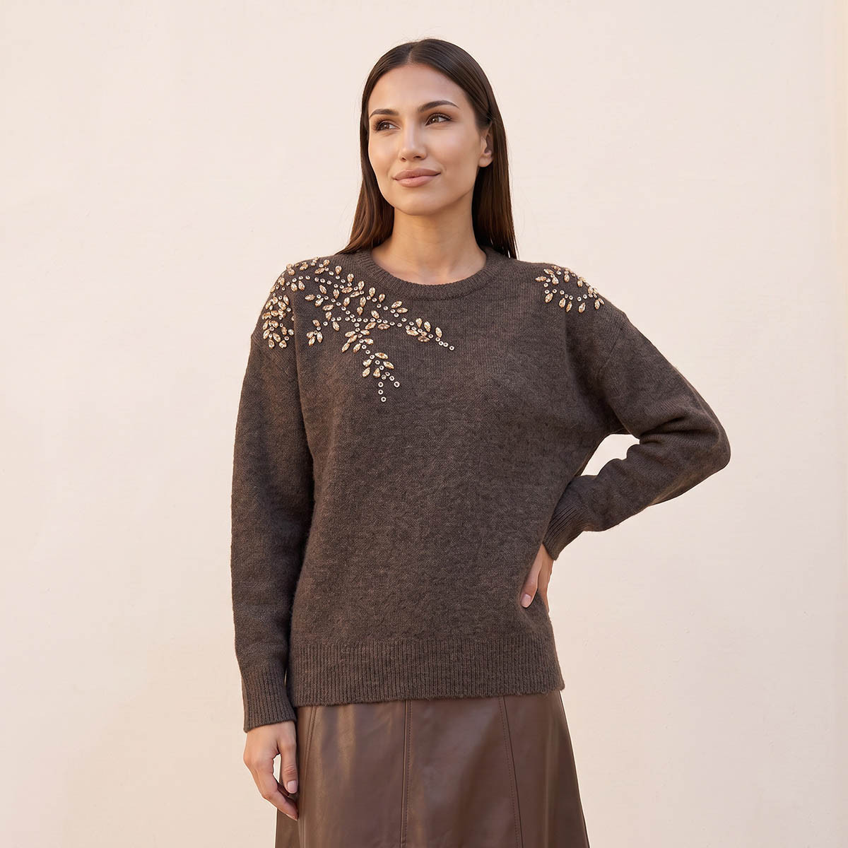 Splash Smart Leaf Embellished Sweater with Crew Neck-women-winterwear-cardigansandjumpers-jumpers-image-2