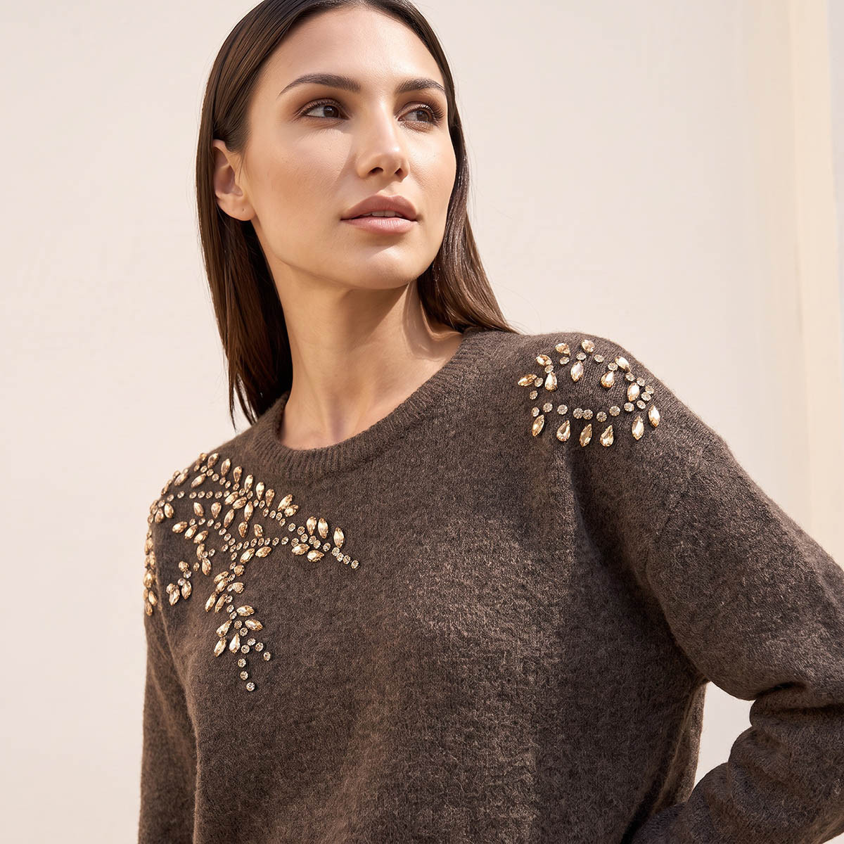 Splash Smart Leaf Embellished Sweater with Crew Neck-women-winterwear-cardigansandjumpers-jumpers-image-7