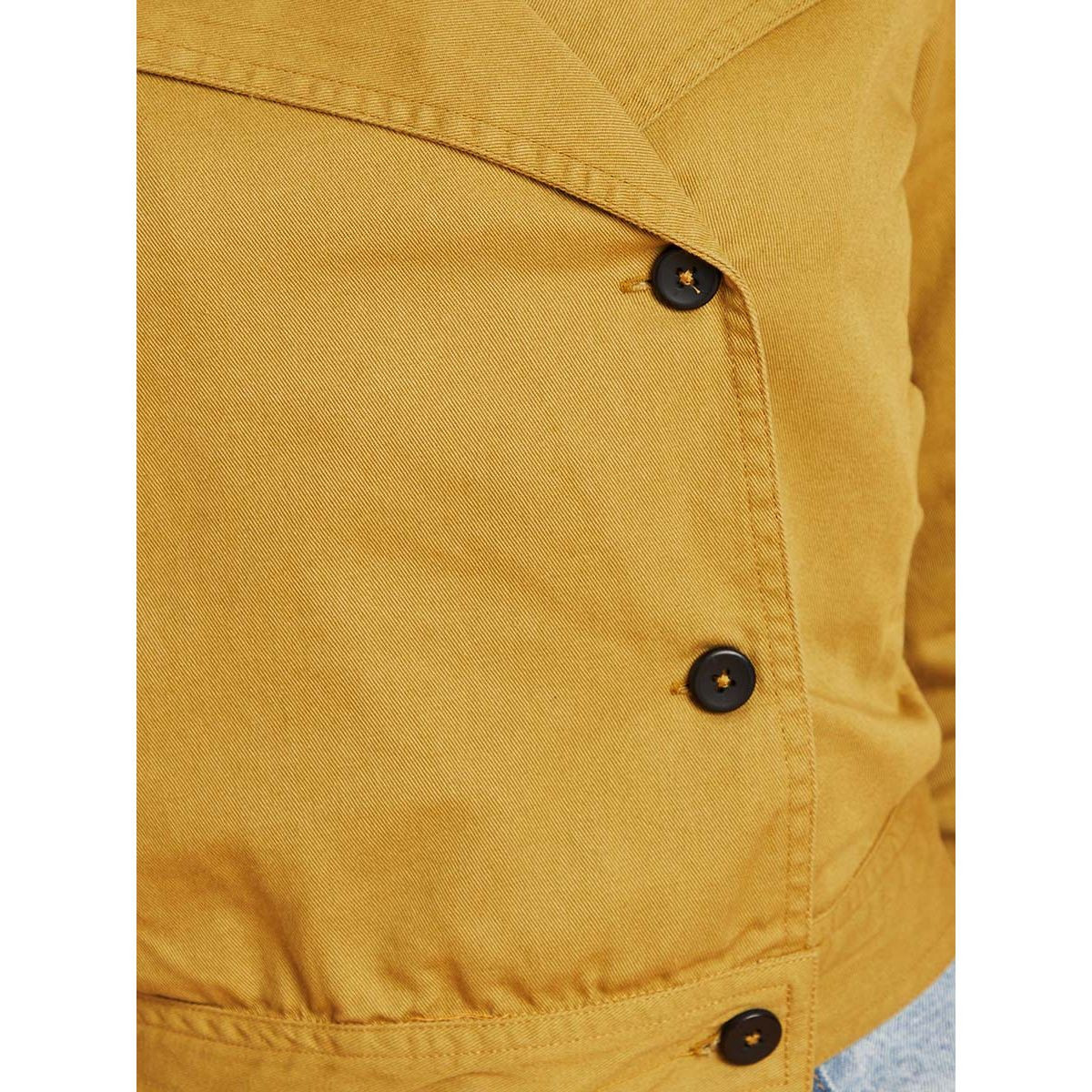 جاكيت قصير بأزرار من ستايلي-women-winterwear-coatsandjackets-jackets-image-3