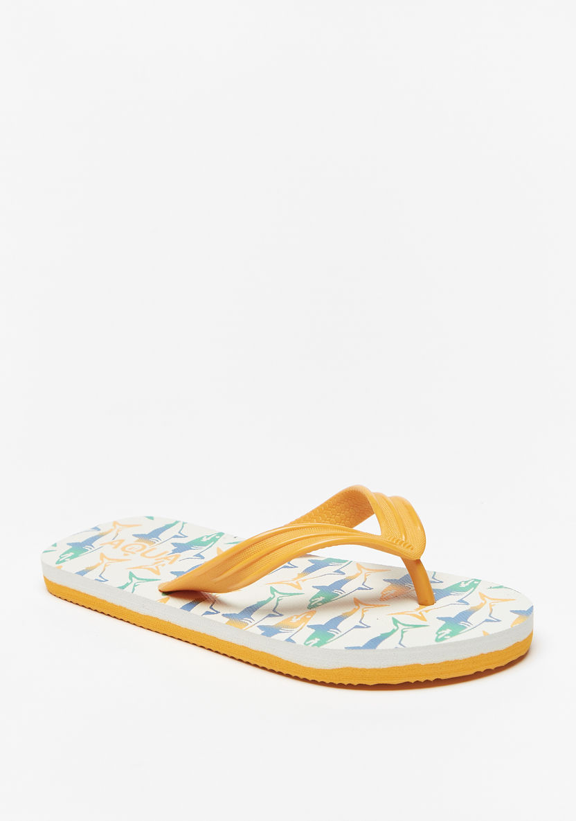 Aqua Printed Slip-On Flip Flops-Boy%27s Flip Flops & Beach Slippers-image-1