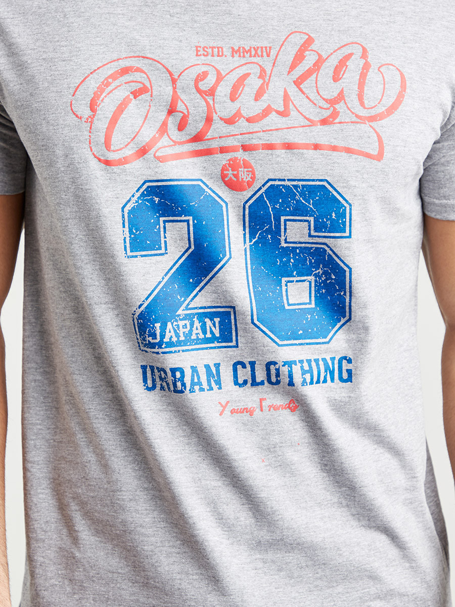 تيشيرت بطبعات وأكمام قصيرة من ستايلي-men-clothing-tshirtsandpolos-tshirts-image-3