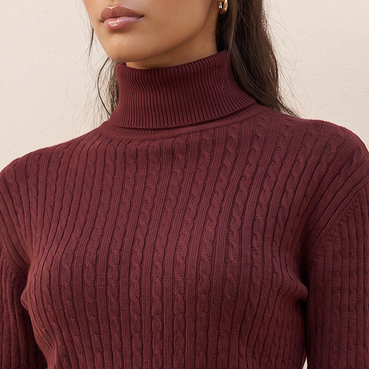 Splash Basics Regular Fit Cable Knit Sweater with Turtleneck-women-winterwear-cardigansandjumpers-jumpers-image-6