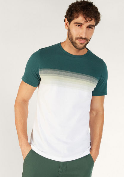 Ombre Crew Neck T-shirt with Short Sleeves-T Shirts-image-2