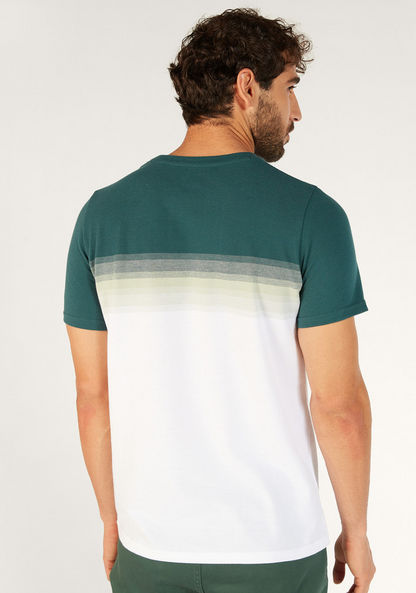 Ombre Crew Neck T-shirt with Short Sleeves-T Shirts-image-3
