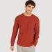 Textured Crew Neck T-shirt with Long Sleeves-T Shirts-thumbnail-0