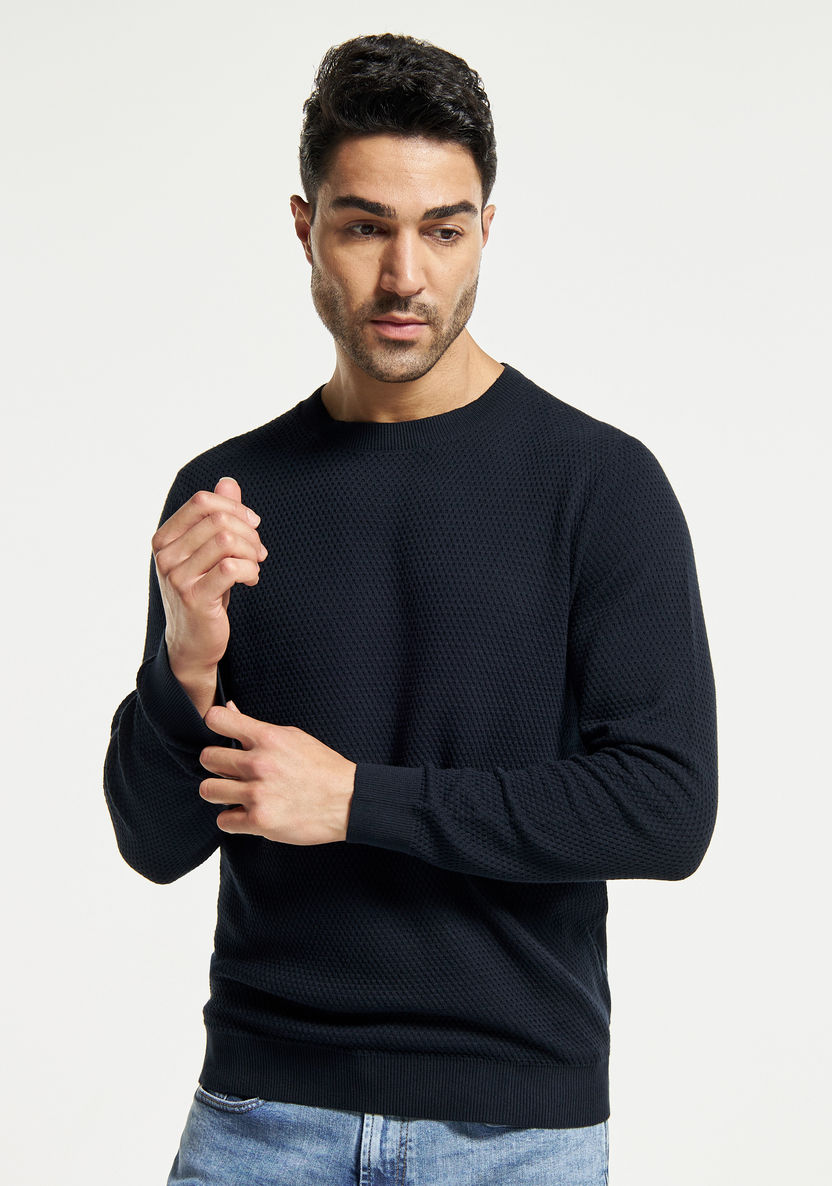 Buy Men's Textured Sweater with Crew Neck and Long Sleeves Online ...