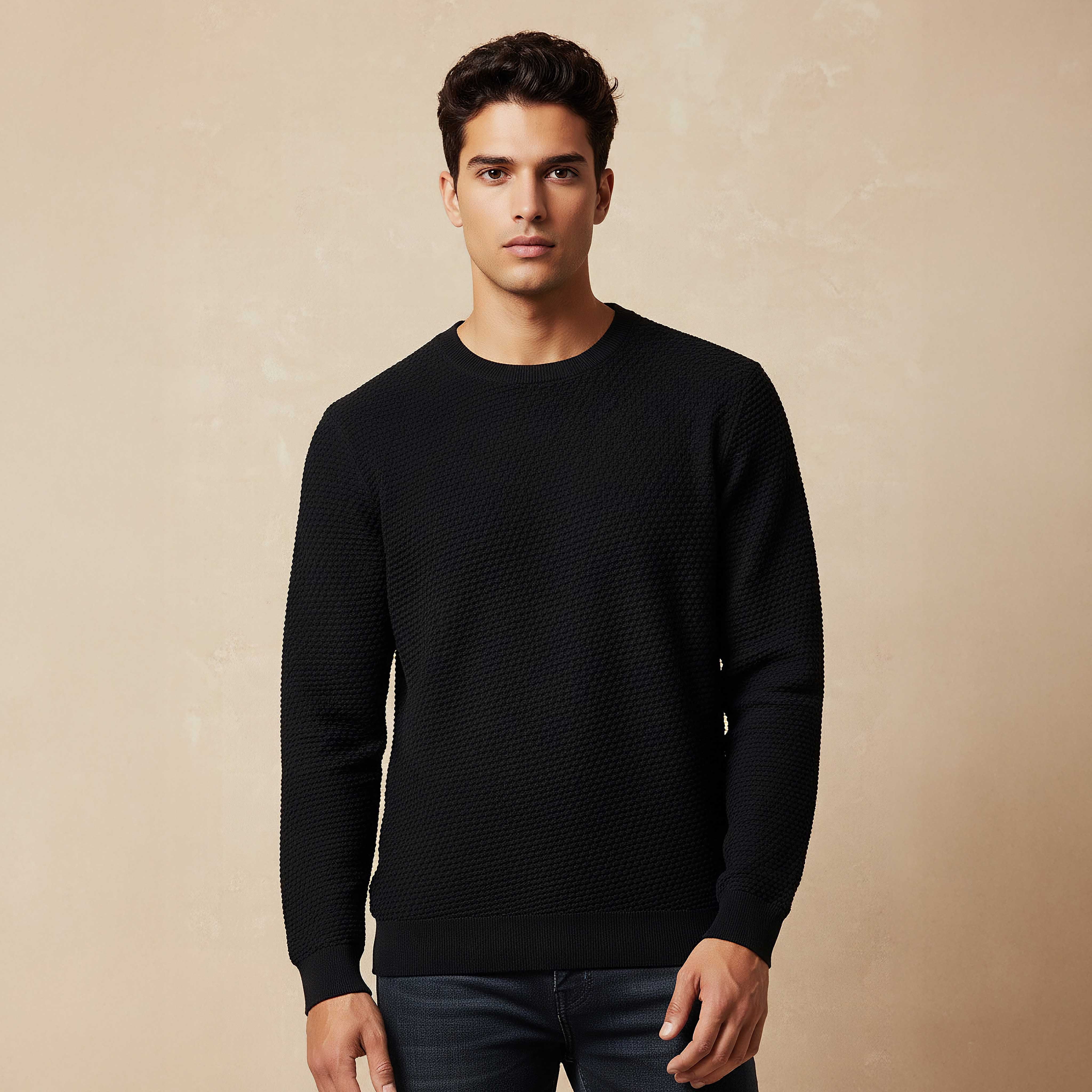 Men Crew Neck Textured Sweater-men-clothing-sweatersandpullovers-image-1