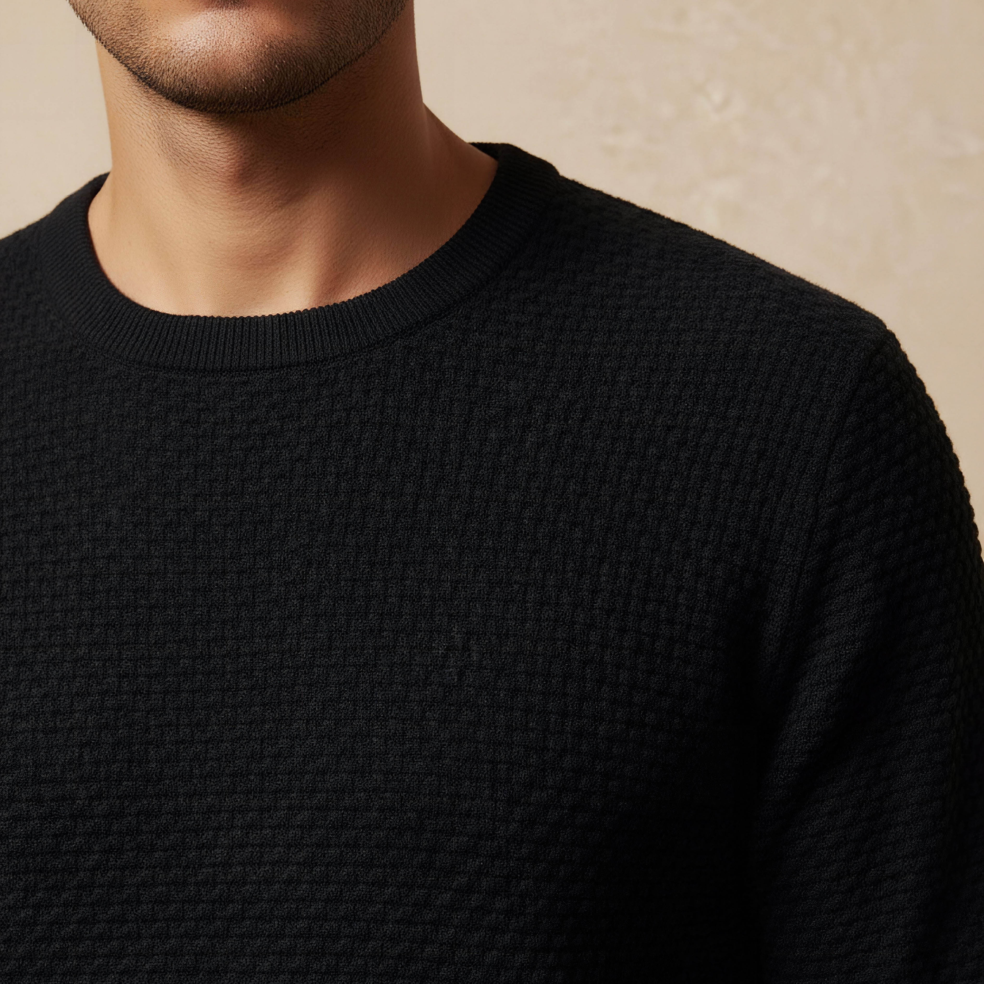 Men Crew Neck Textured Sweater-men-clothing-sweatersandpullovers-image-4