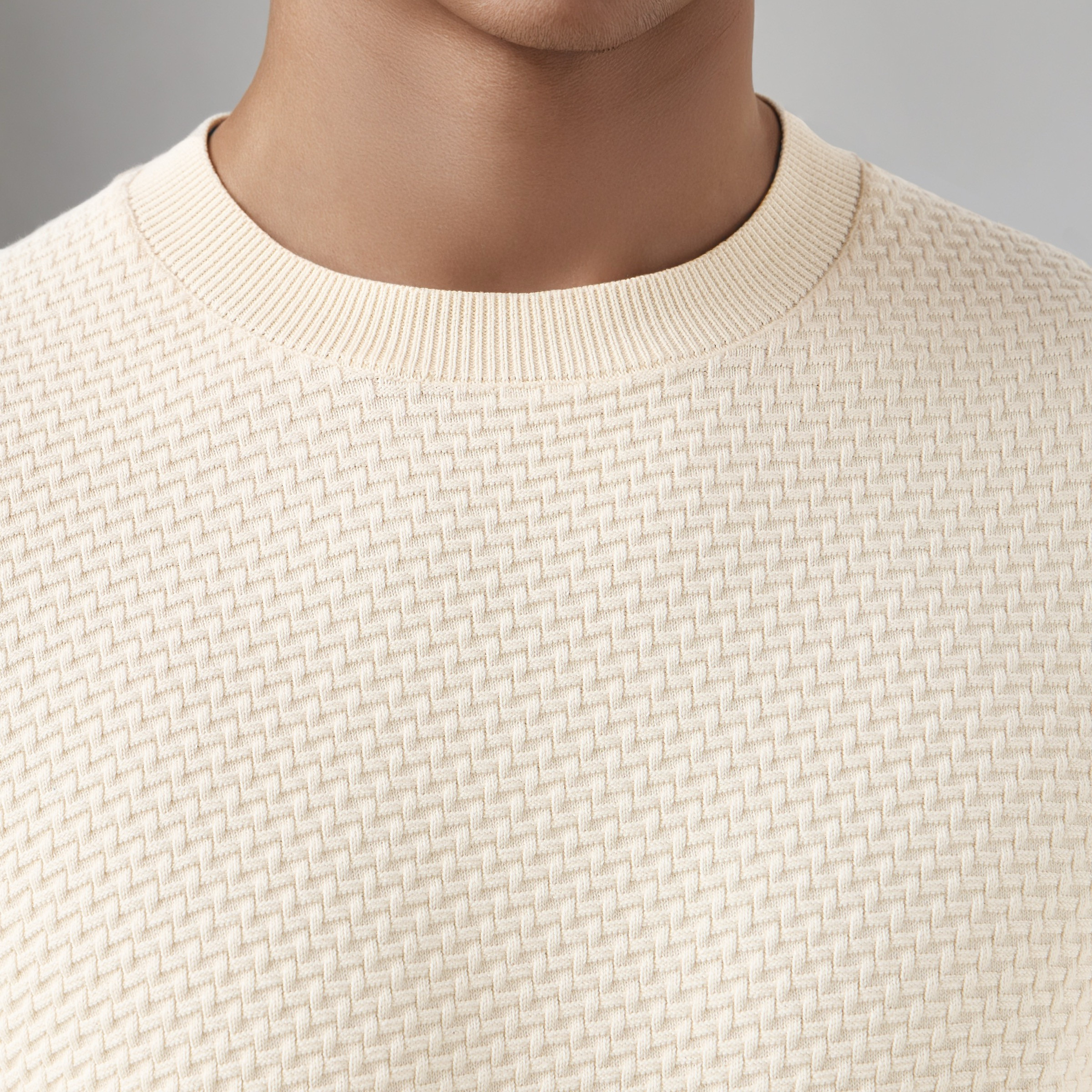 Men Crew Neck Textured Sweater-men-clothing-sweatersandpullovers-image-3