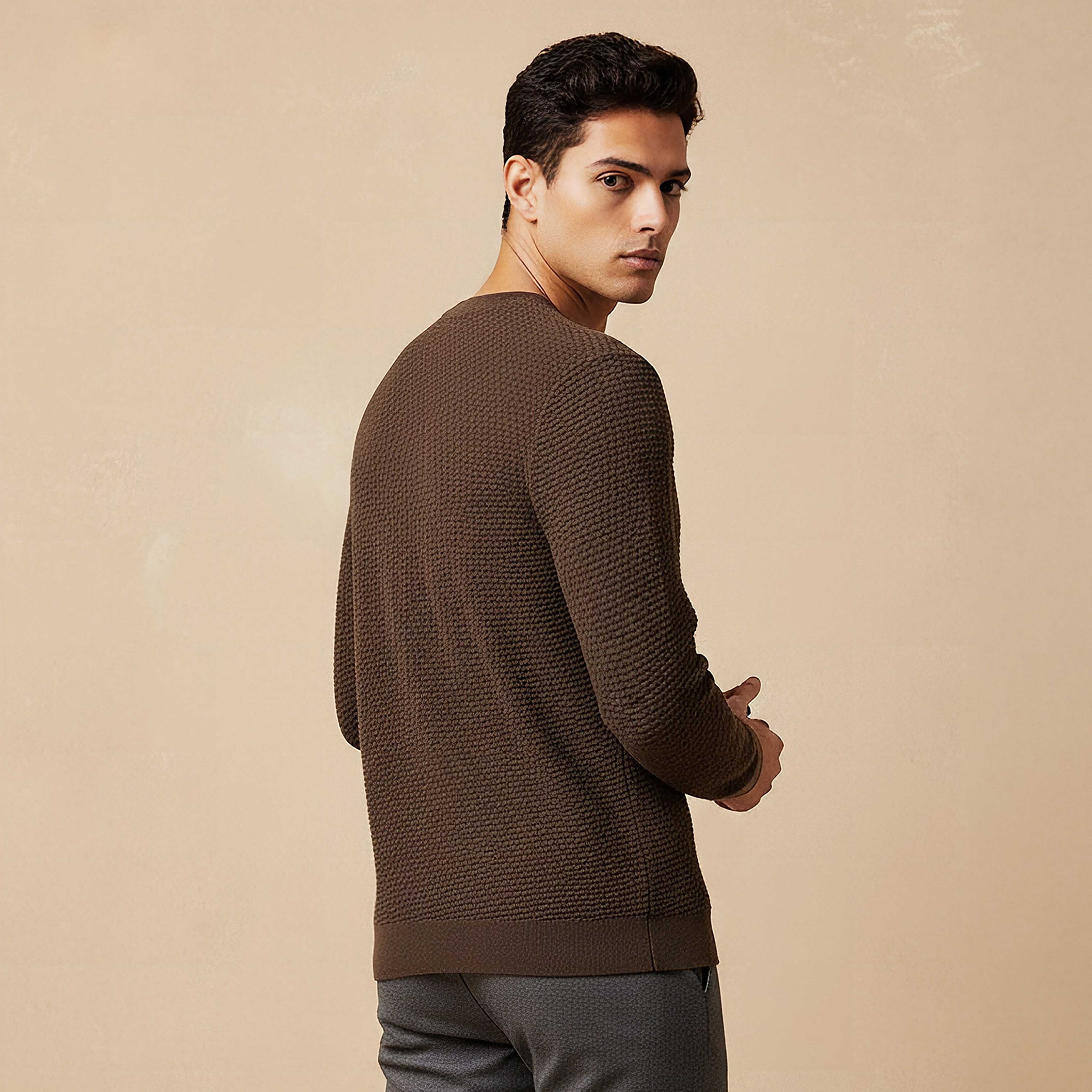 Men Crew Neck Textured Sweater-men-clothing-sweatersandpullovers-image-3