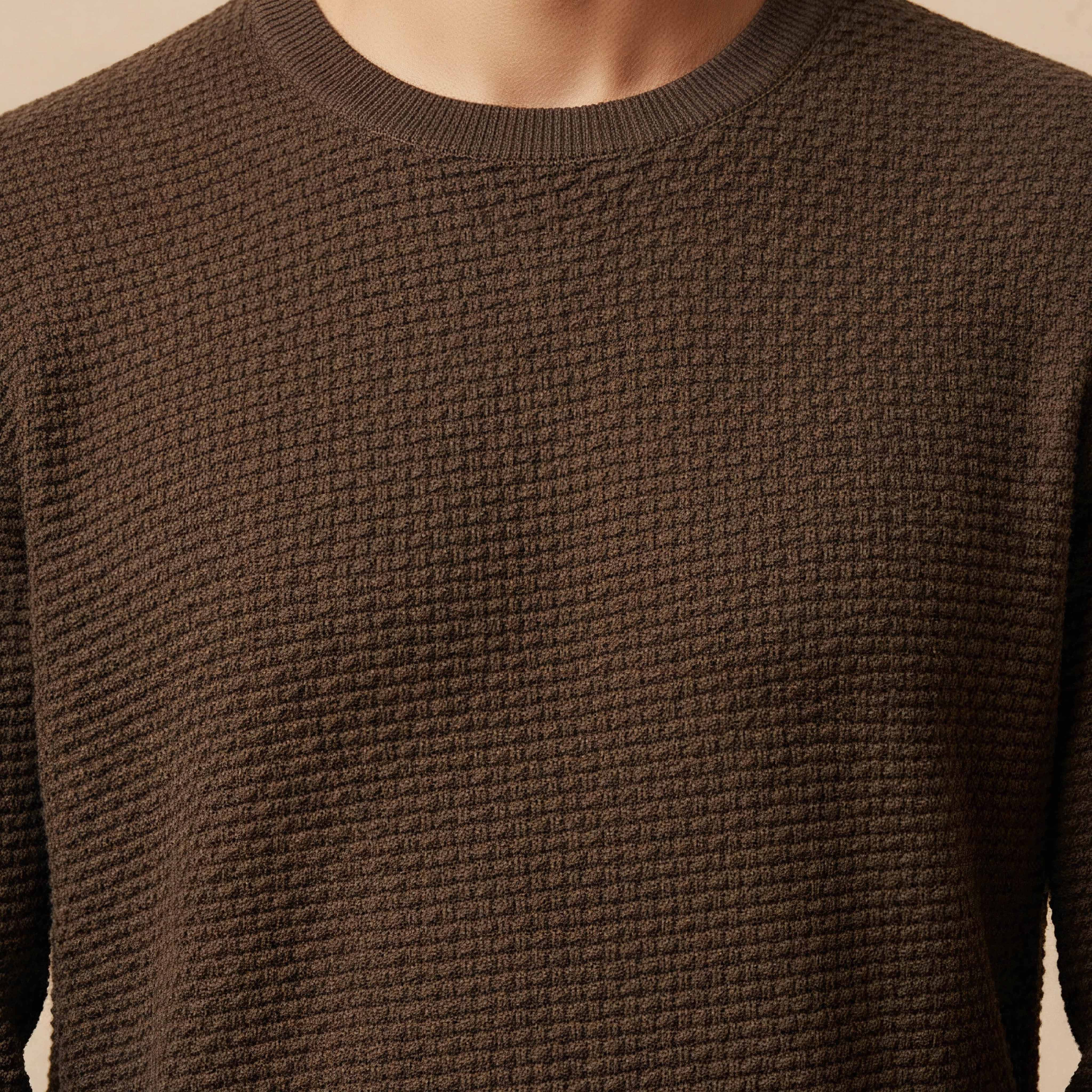 Men Crew Neck Textured Sweater-men-clothing-sweatersandpullovers-image-4