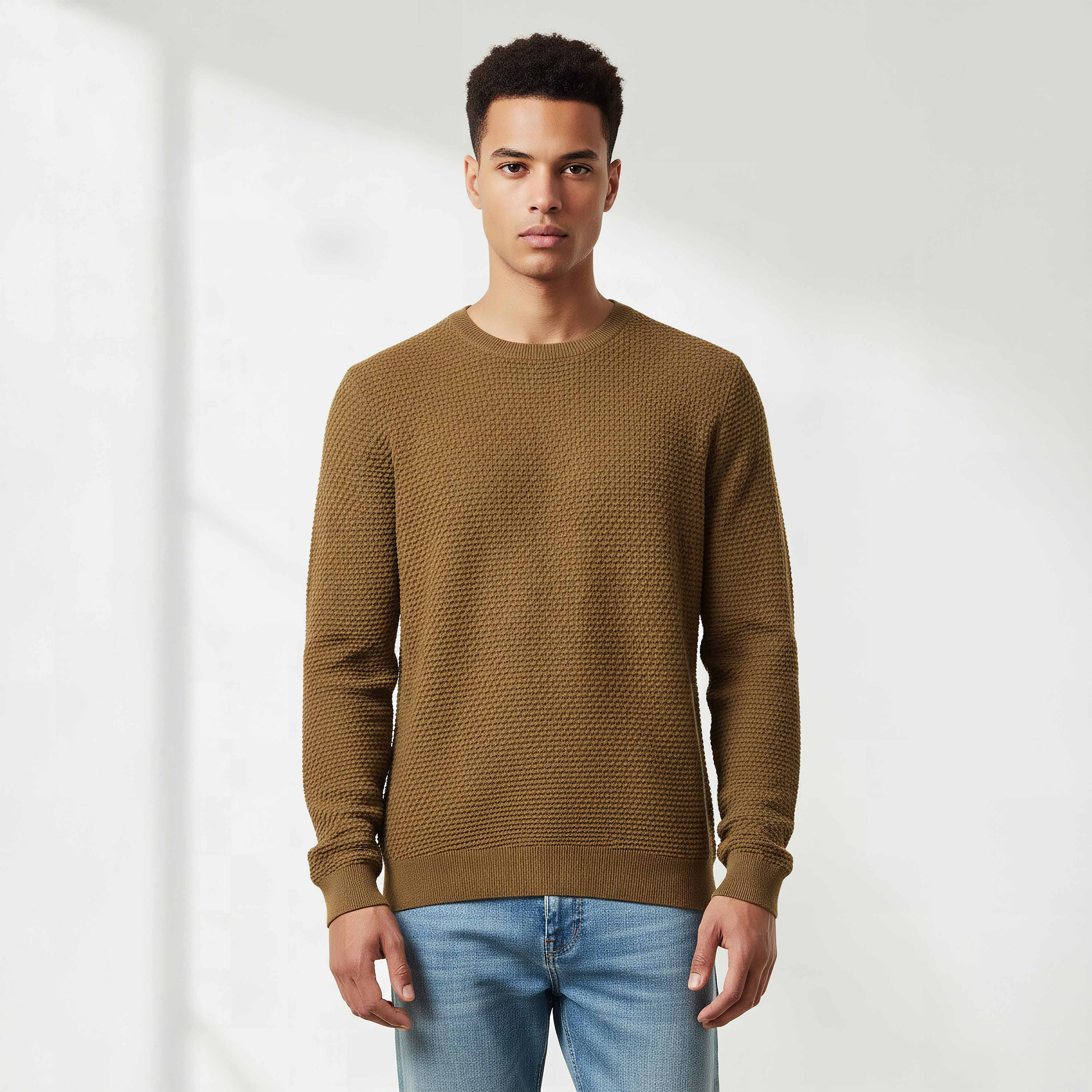 Men Crew Neck Textured Sweater-men-clothing-sweatersandpullovers-image-1