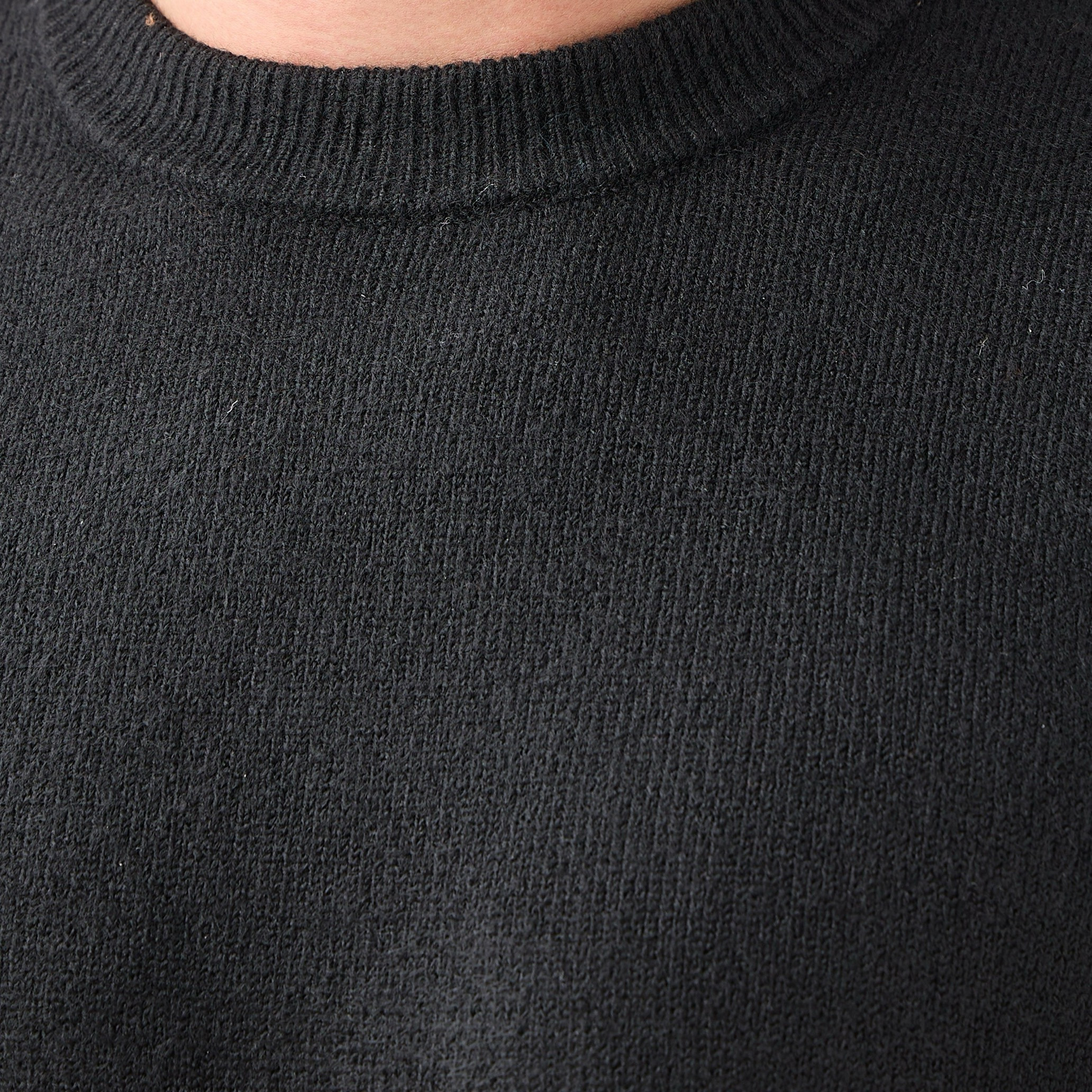 Textured Sweater with Crew Neck-men-clothing-sweatersandpullovers-image-3