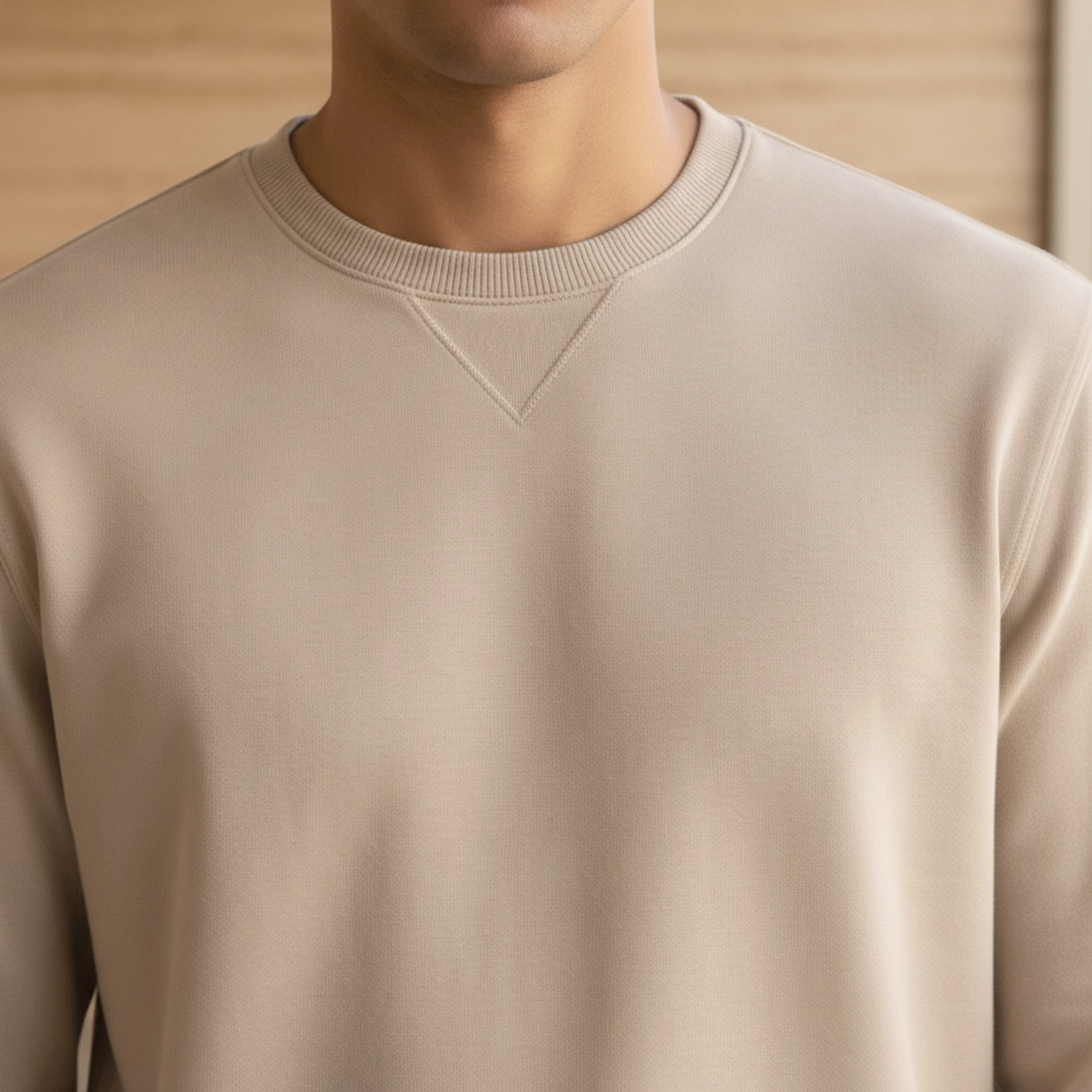 Men Regular Fit Crew Neck Sweatshirt-men-winterwear-hoodiesandsweatshirts-image-4