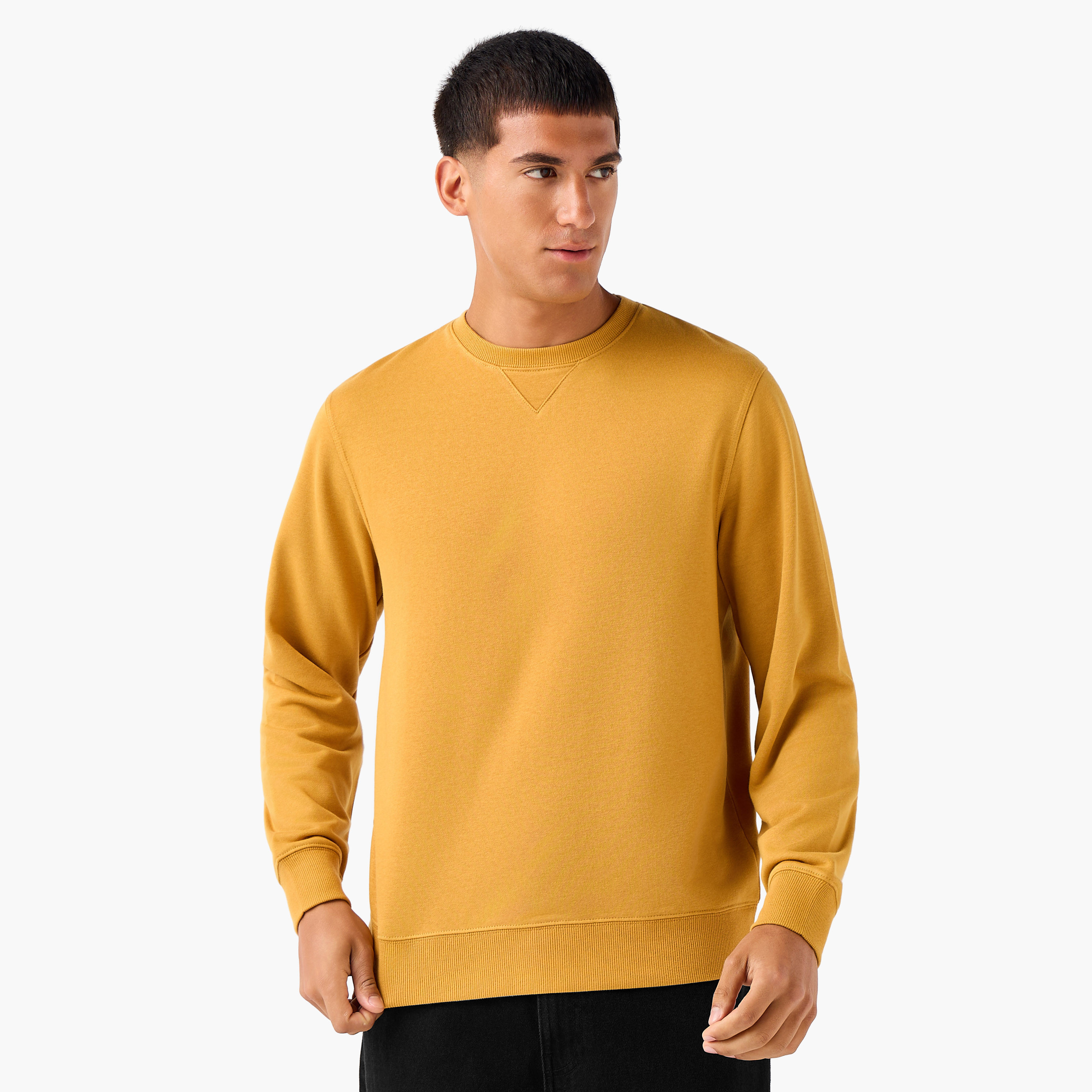 Men Crew Neck Sweatshirt-men-winterwear-hoodiesandsweatshirts-image-1