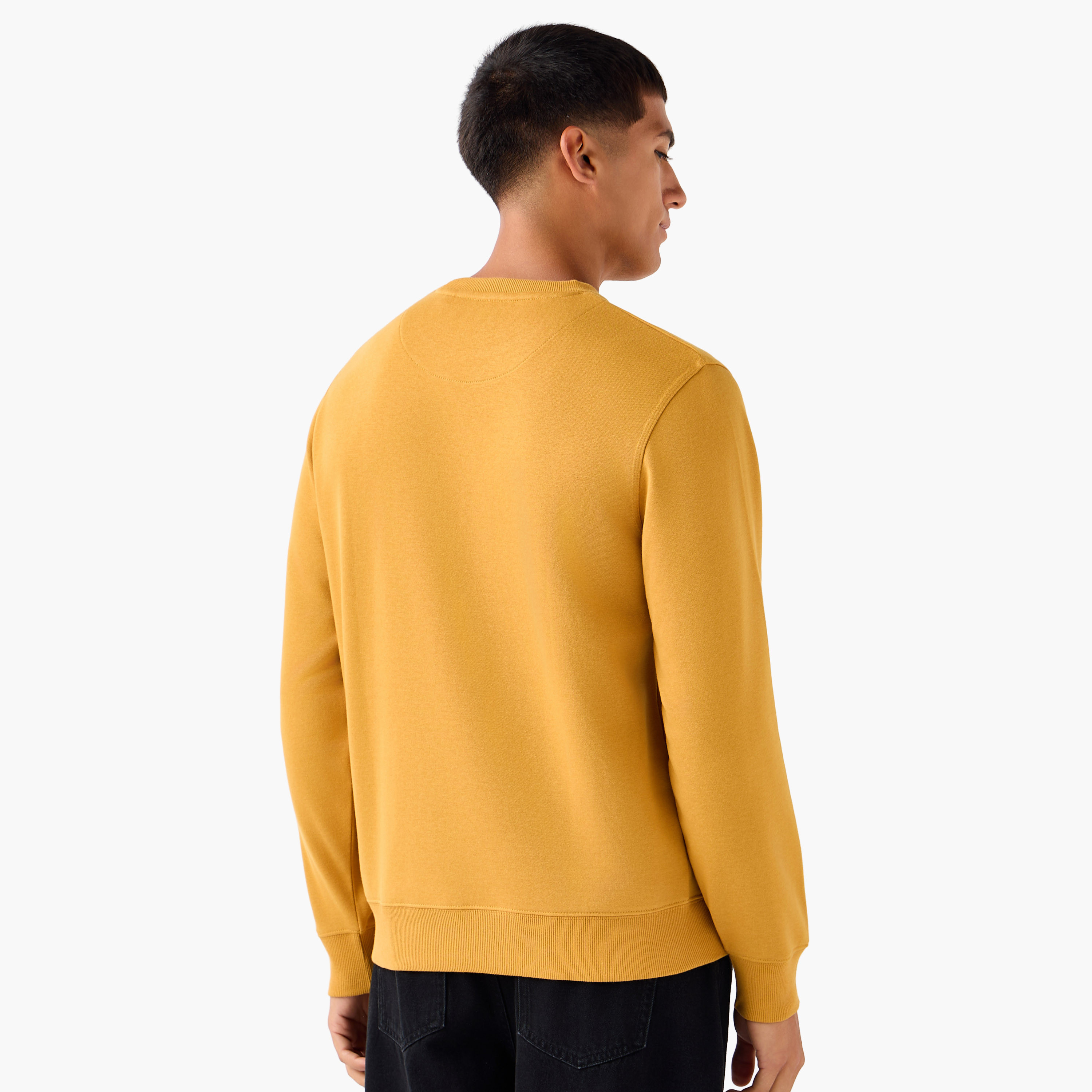 Men Crew Neck Sweatshirt-men-winterwear-hoodiesandsweatshirts-image-2