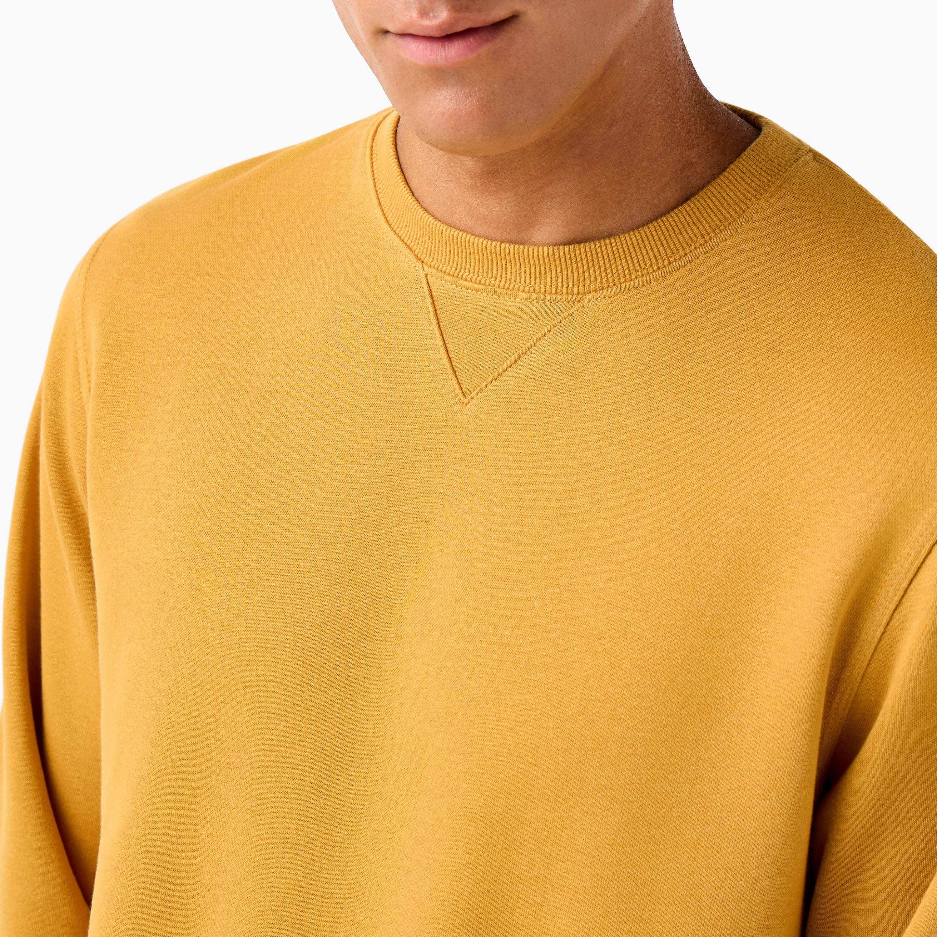 Men Crew Neck Sweatshirt-men-winterwear-hoodiesandsweatshirts-image-3