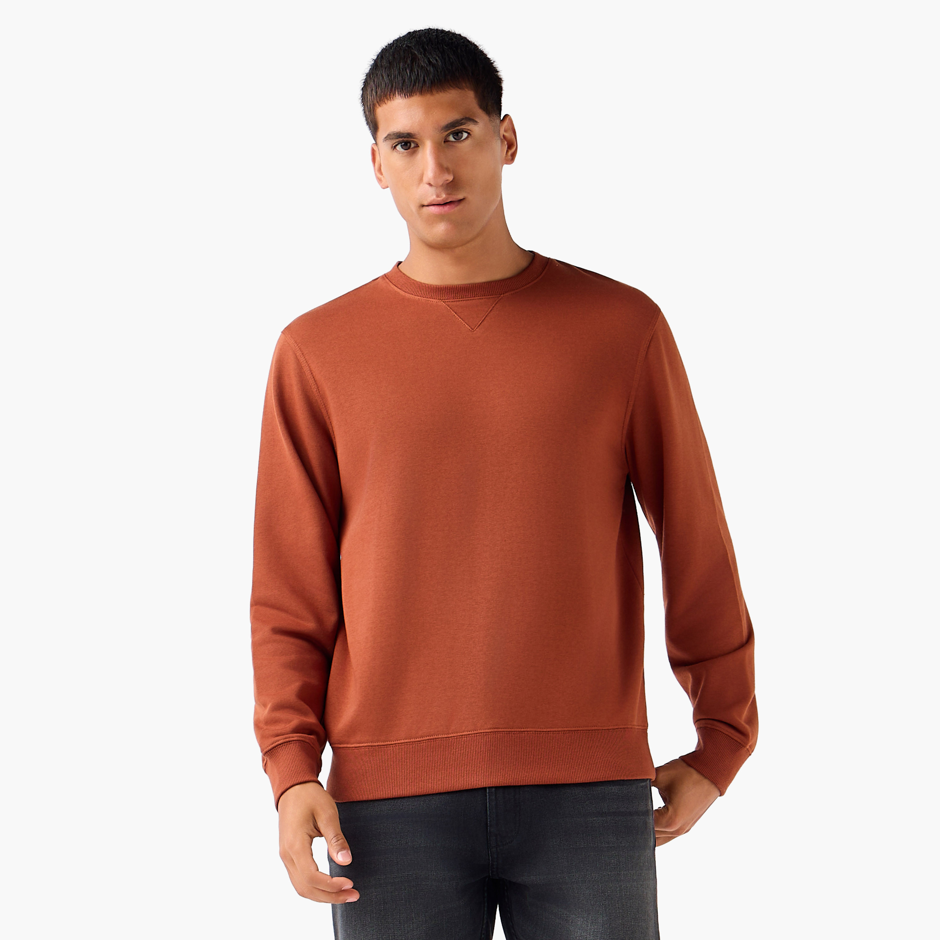 Men Crew Neck Sweatshirt-men-winterwear-hoodiesandsweatshirts-image-1
