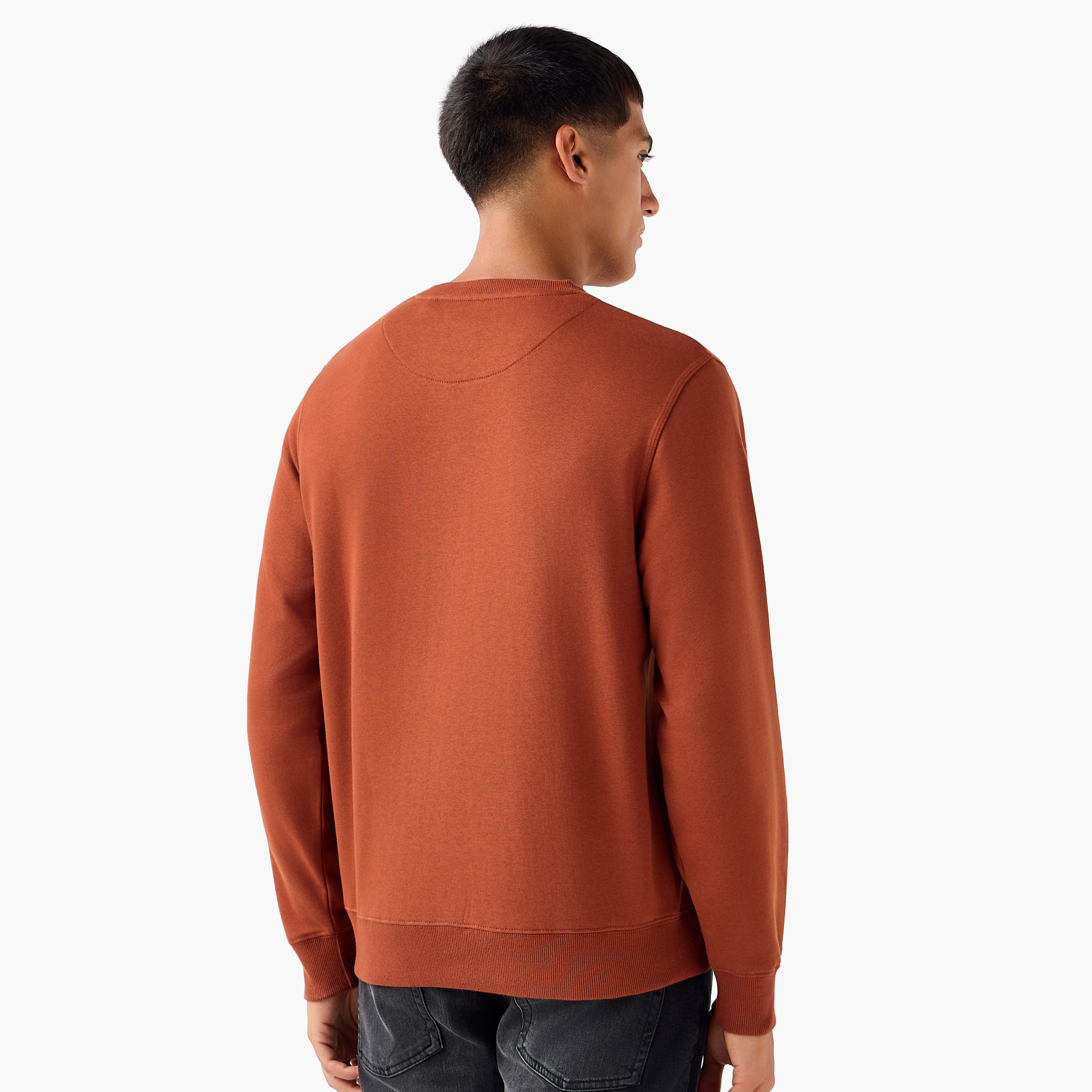 Men Crew Neck Sweatshirt-men-winterwear-hoodiesandsweatshirts-image-2