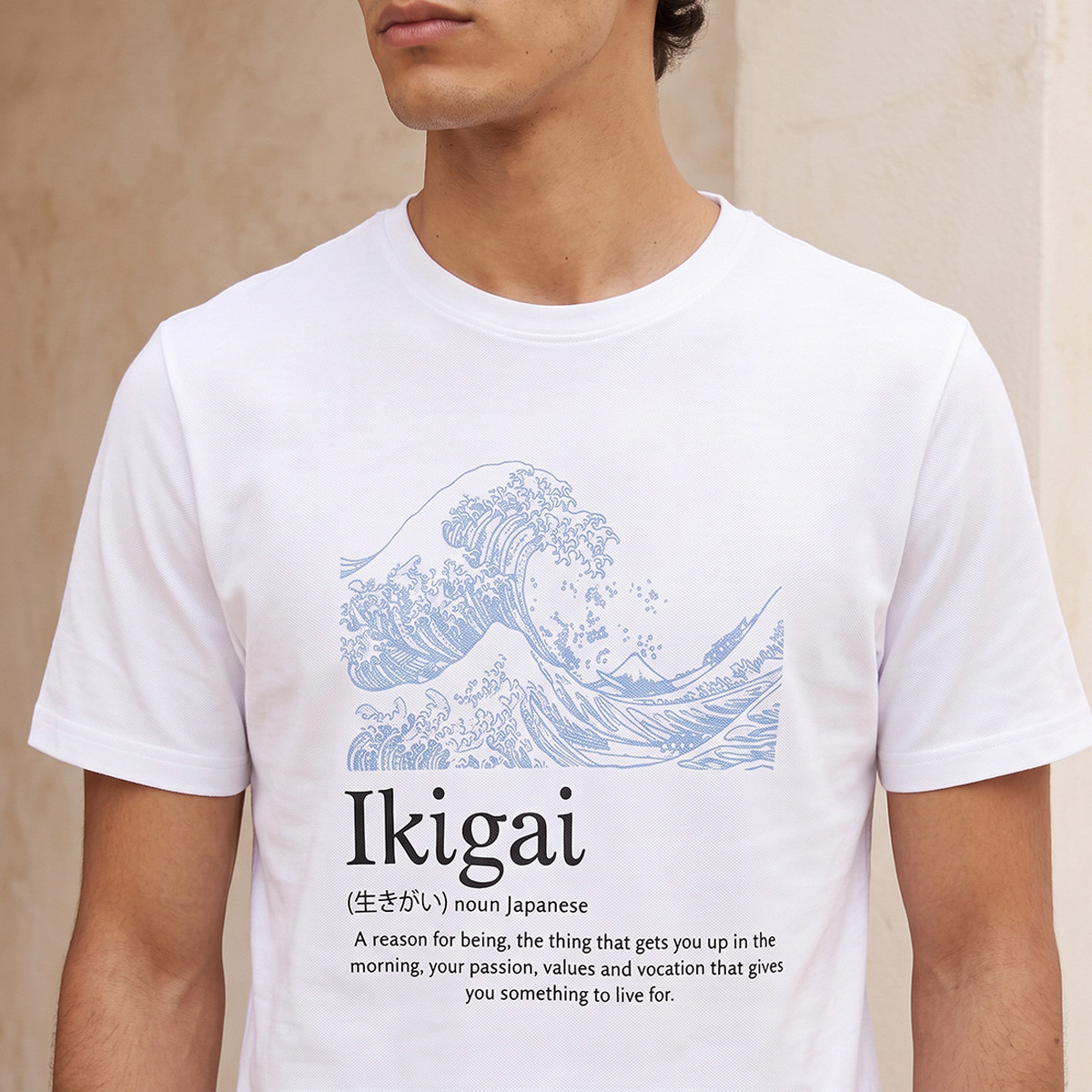 تيشيرت قطن بقصة مستقيمة وياقة دائرية  من سبلاش-men-clothing-tshirtsandpolos-tshirts-image-4