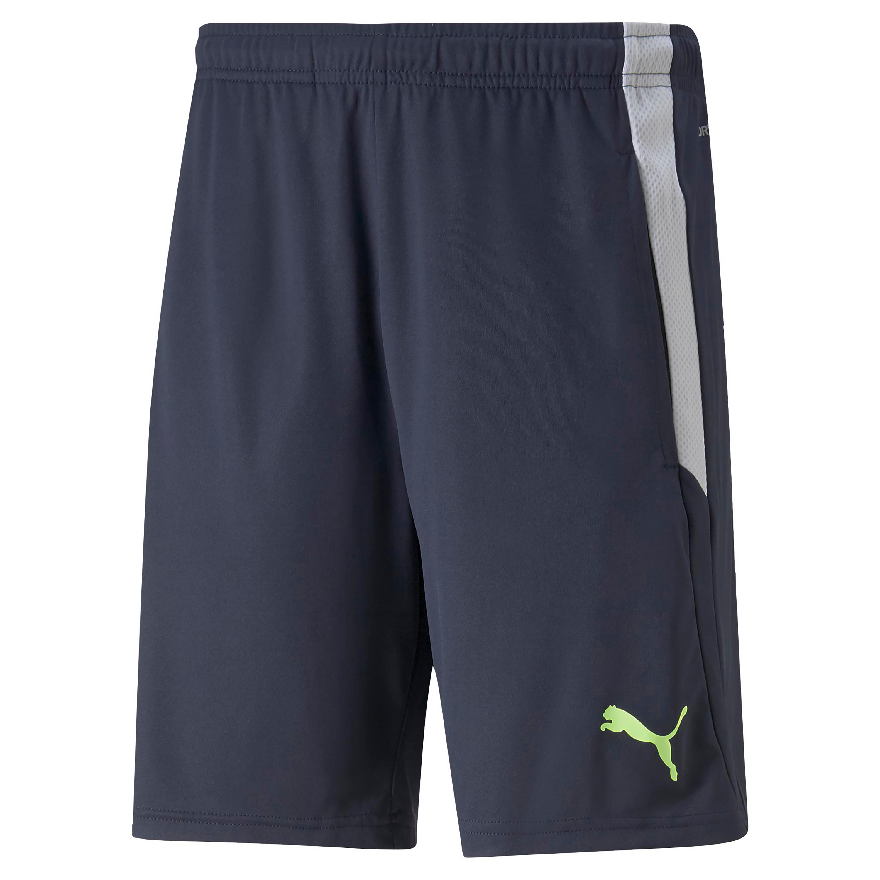 Puma Teamliga 2 Men Football Shorts 65766749-sports-gear-football-clothing-bottoms-image-5