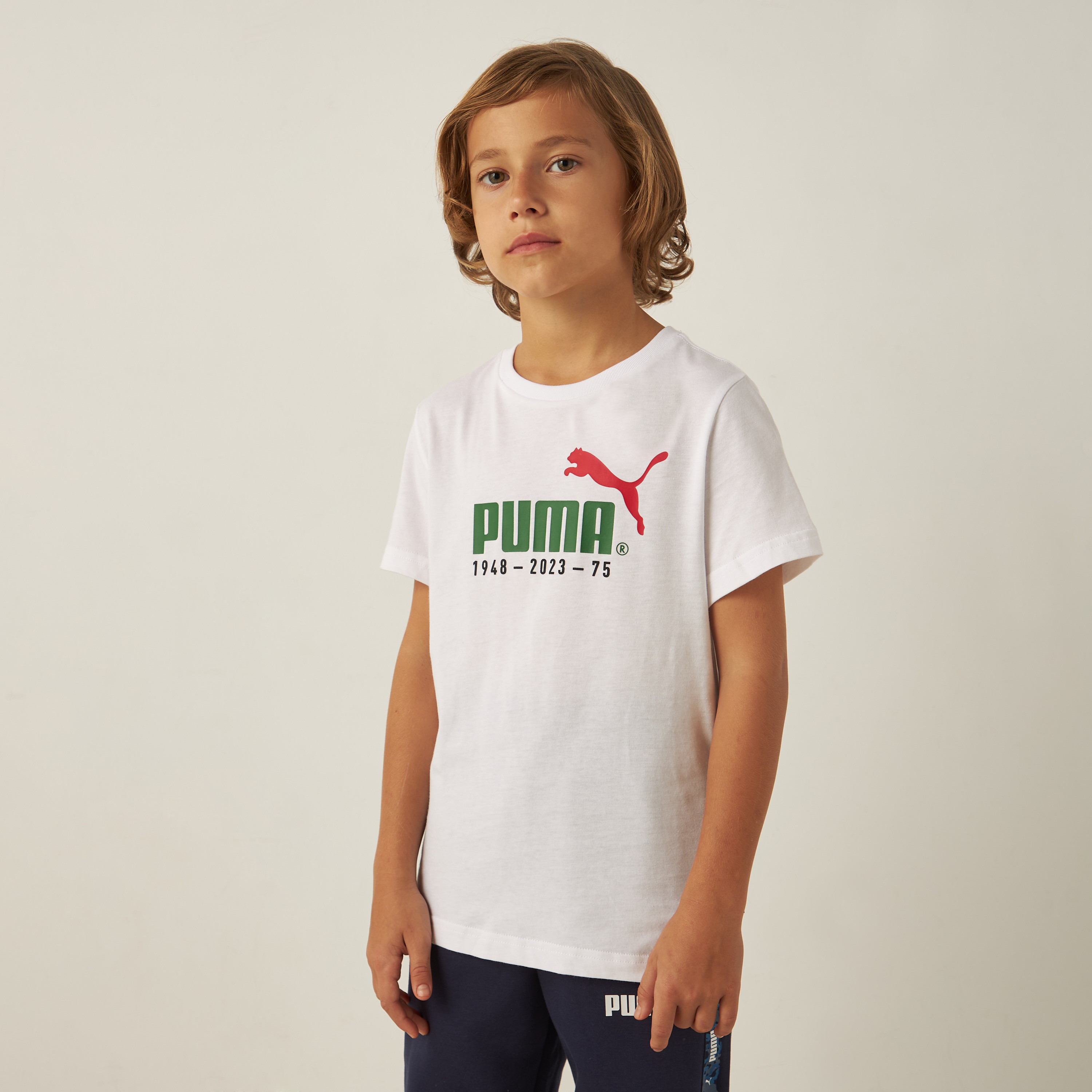 Buy puma t shirts online best sale