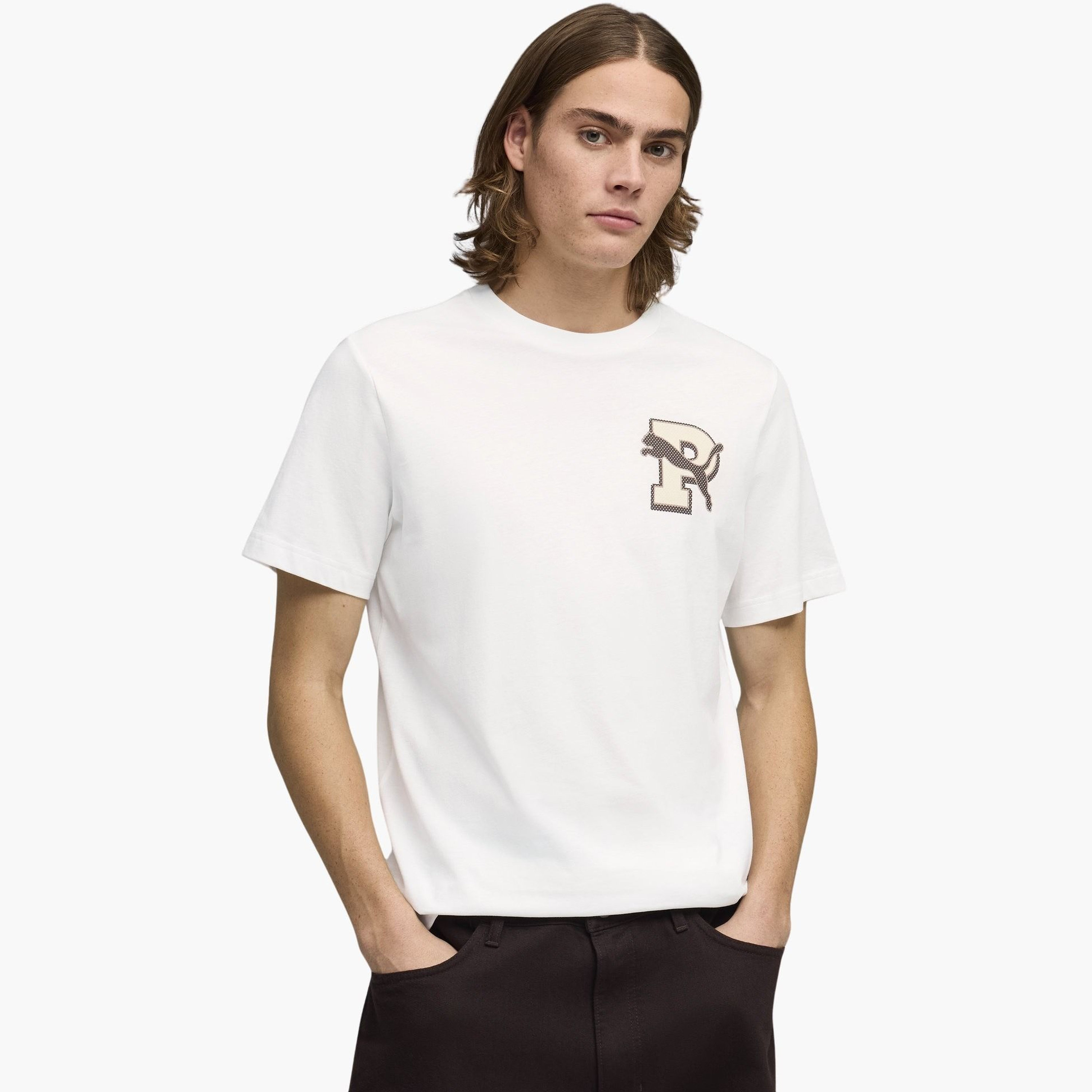 Puma Men GRAPHIC Varsity Short Sleeves Tee-men-clothing-sportswearandactivewear-tshirtsandpolos-image-1