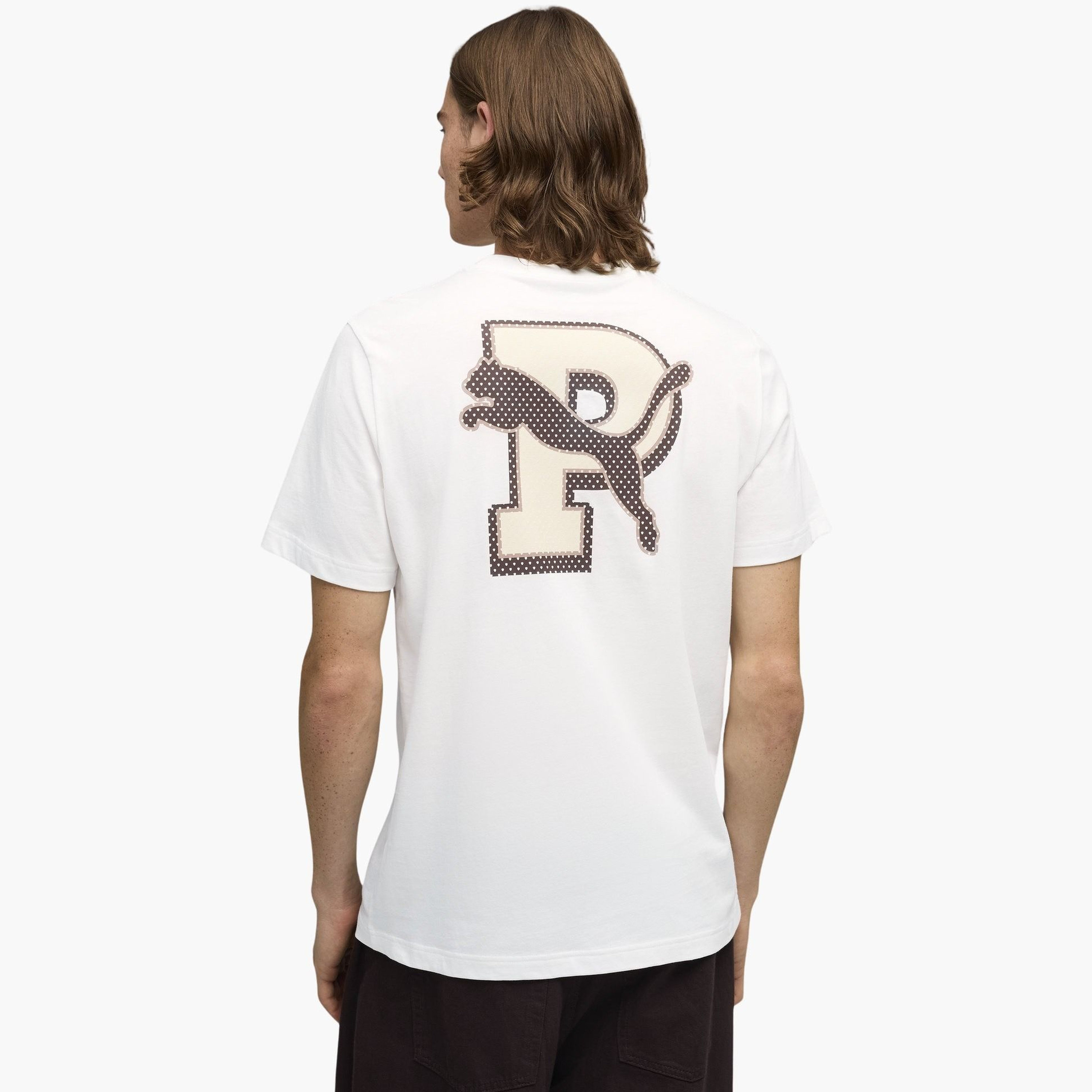 Puma Men GRAPHIC Varsity Short Sleeves Tee-men-clothing-sportswearandactivewear-tshirtsandpolos-image-3
