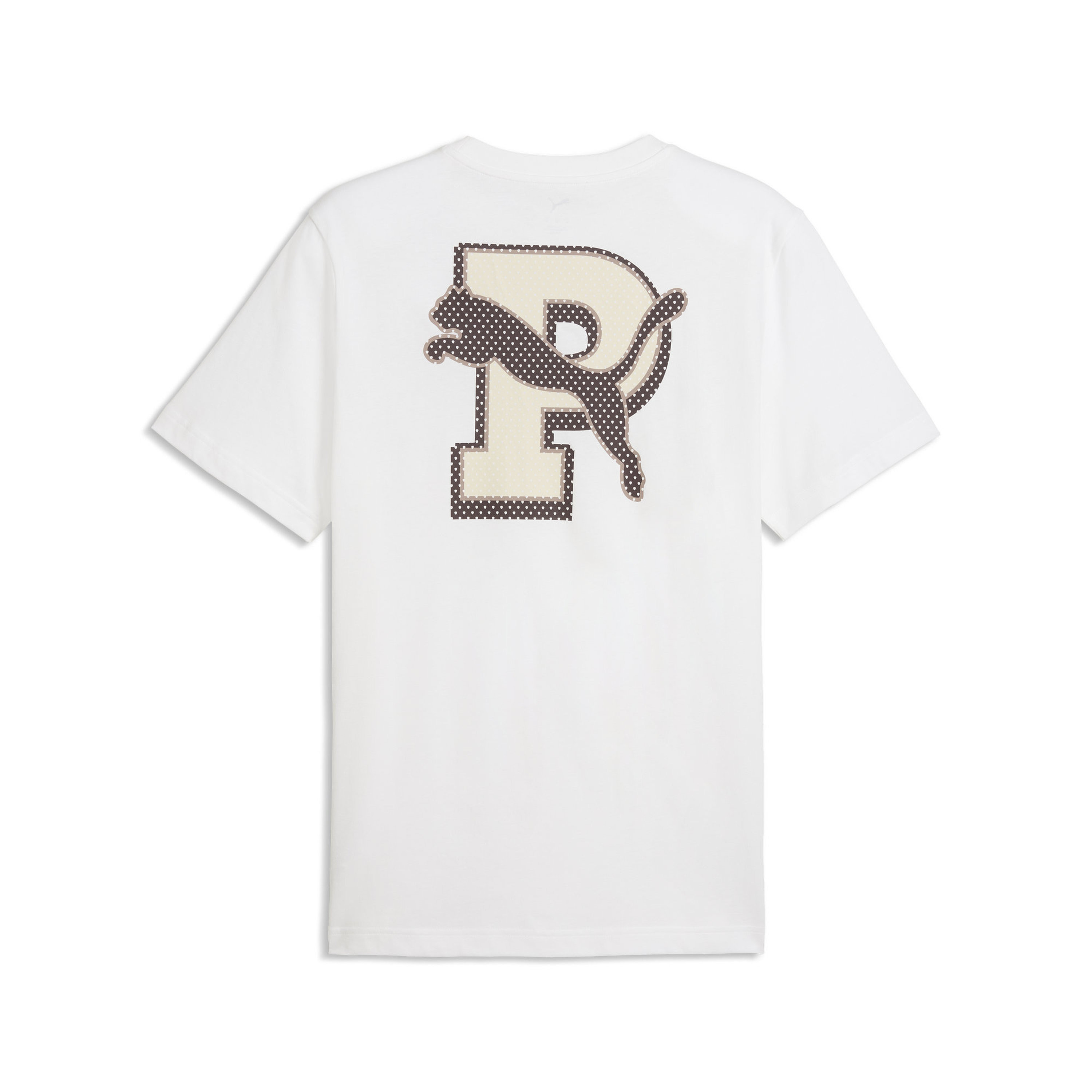 Puma Men GRAPHIC Varsity Short Sleeves Tee-men-clothing-sportswearandactivewear-tshirtsandpolos-image-5
