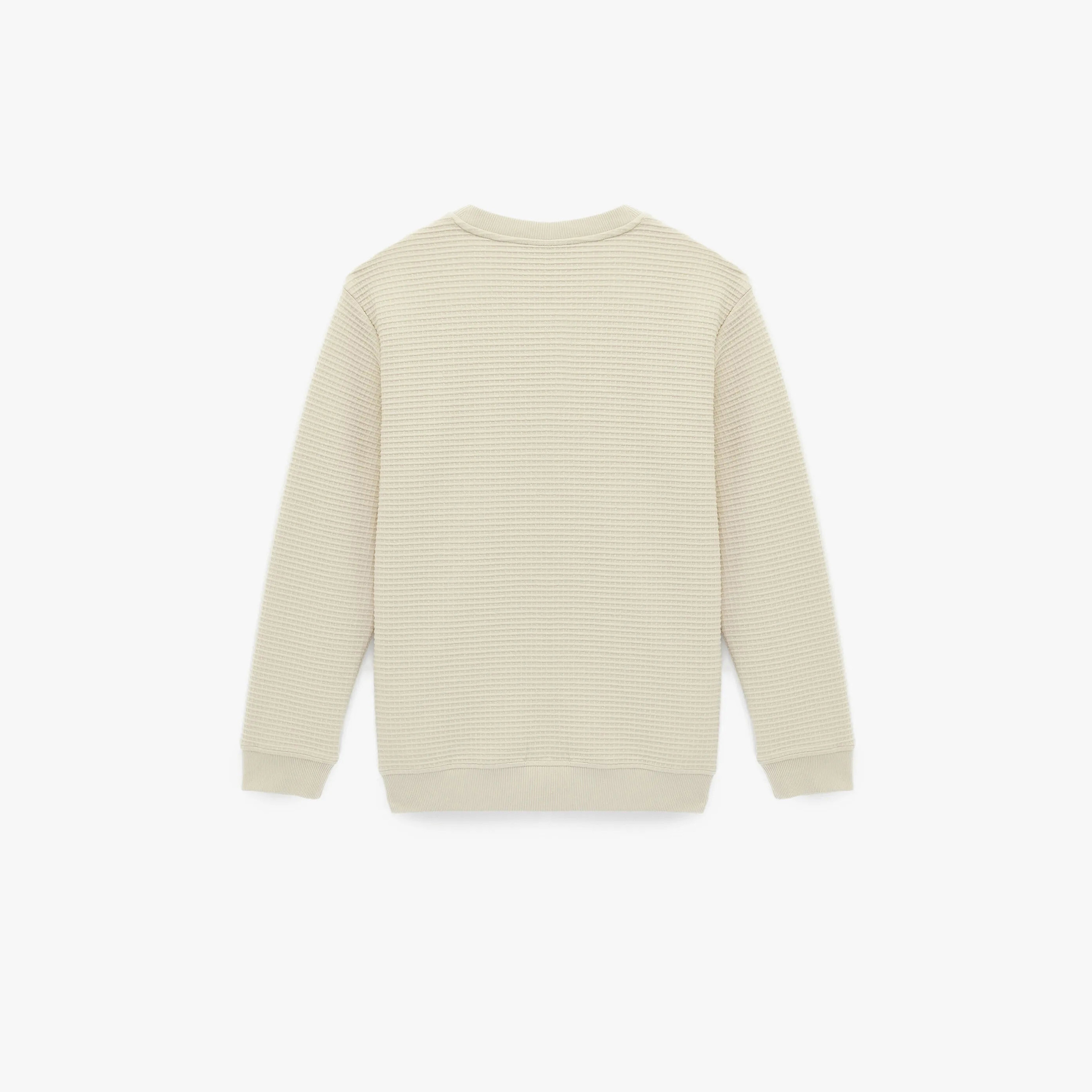 Koton Textured Crew Neck Long Sleeves Men's Sweatshirt-men-winterwear-hoodiesandsweatshirts-image-4