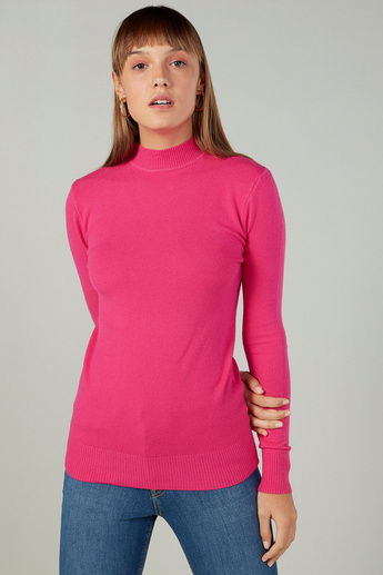 Buy Women's Textured Turtle Neck Sweater with Long Sleeves Online