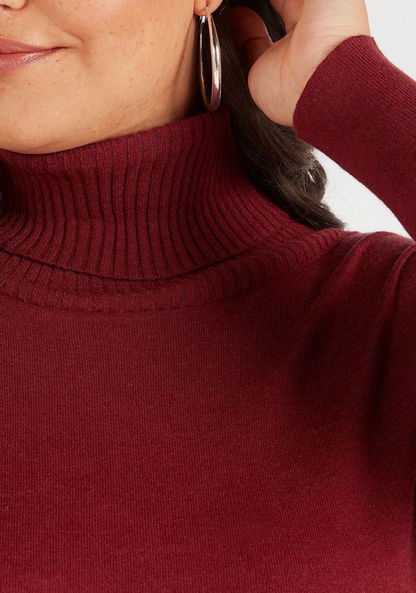 Solid Turtle Neck Sweater with Long Sleeves