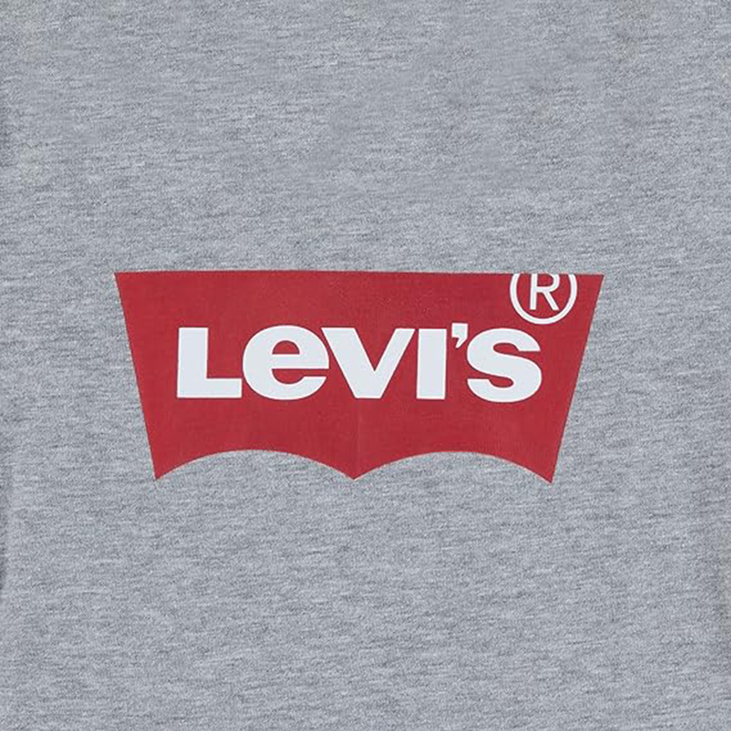 تي شيرت بأكمام قصيرة بطبعة باتوينج من ليفايس-baby-boys-clothing-tshirtsandpolos-image-4