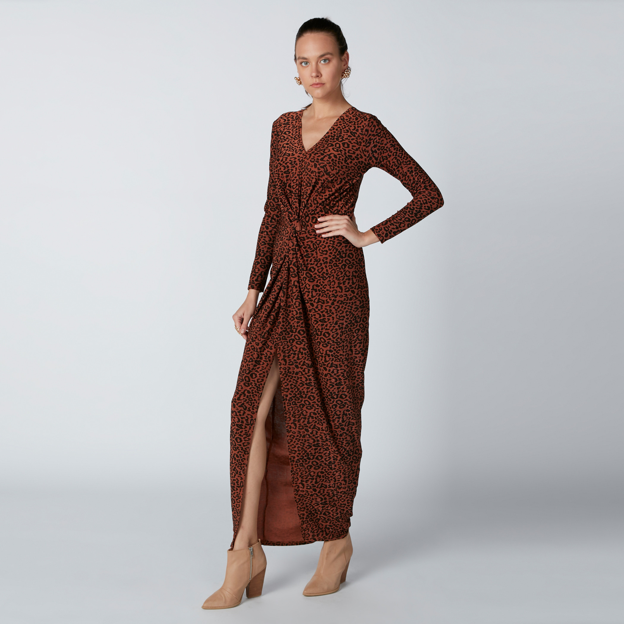 Animal Printed Maxi Dress with V-Neck and Long Sleeves-women-clothing-dresses-image-1
