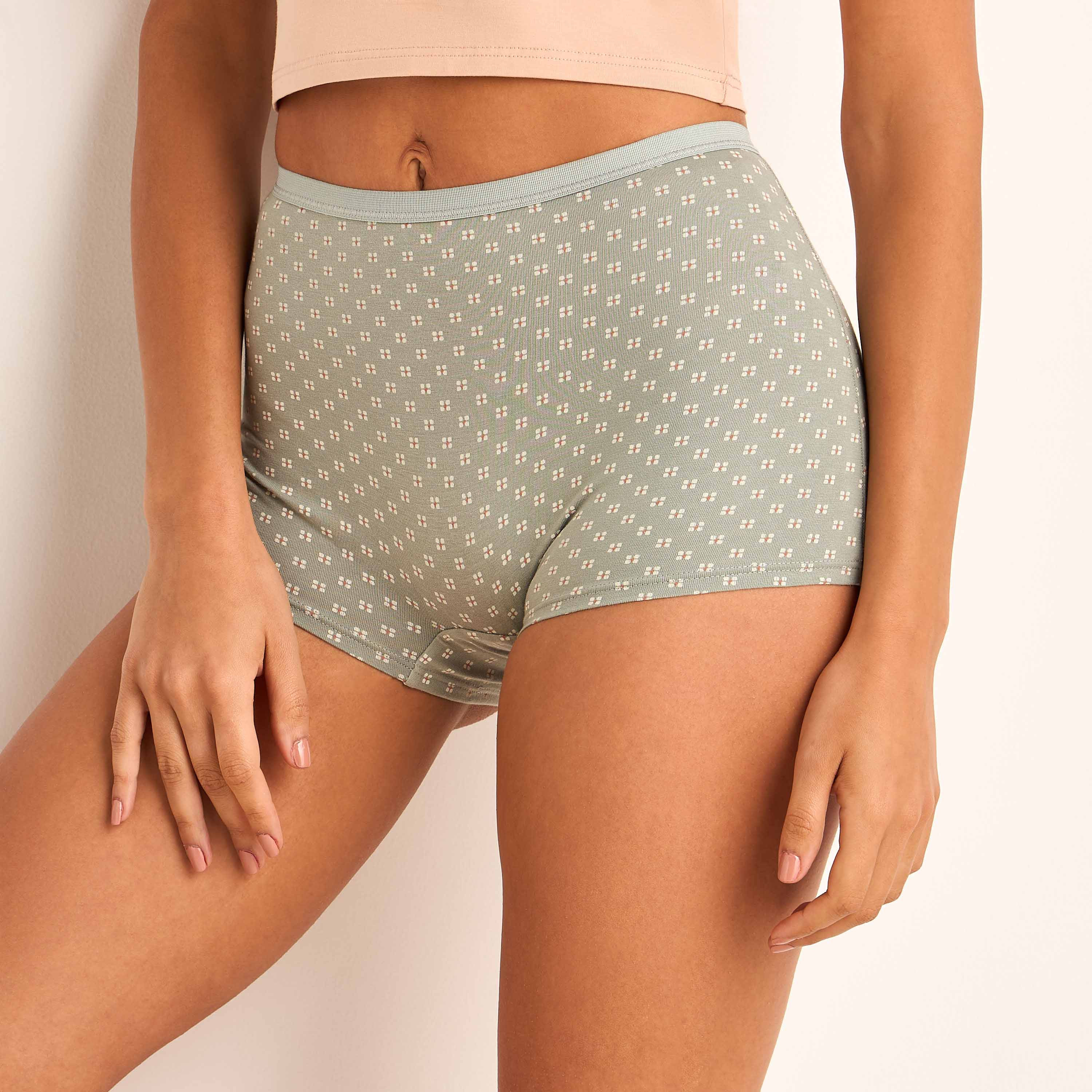 Set of 5 - Boyshort Briefs with Assorted Design-women-clothing-lingerie-panties-image-8
