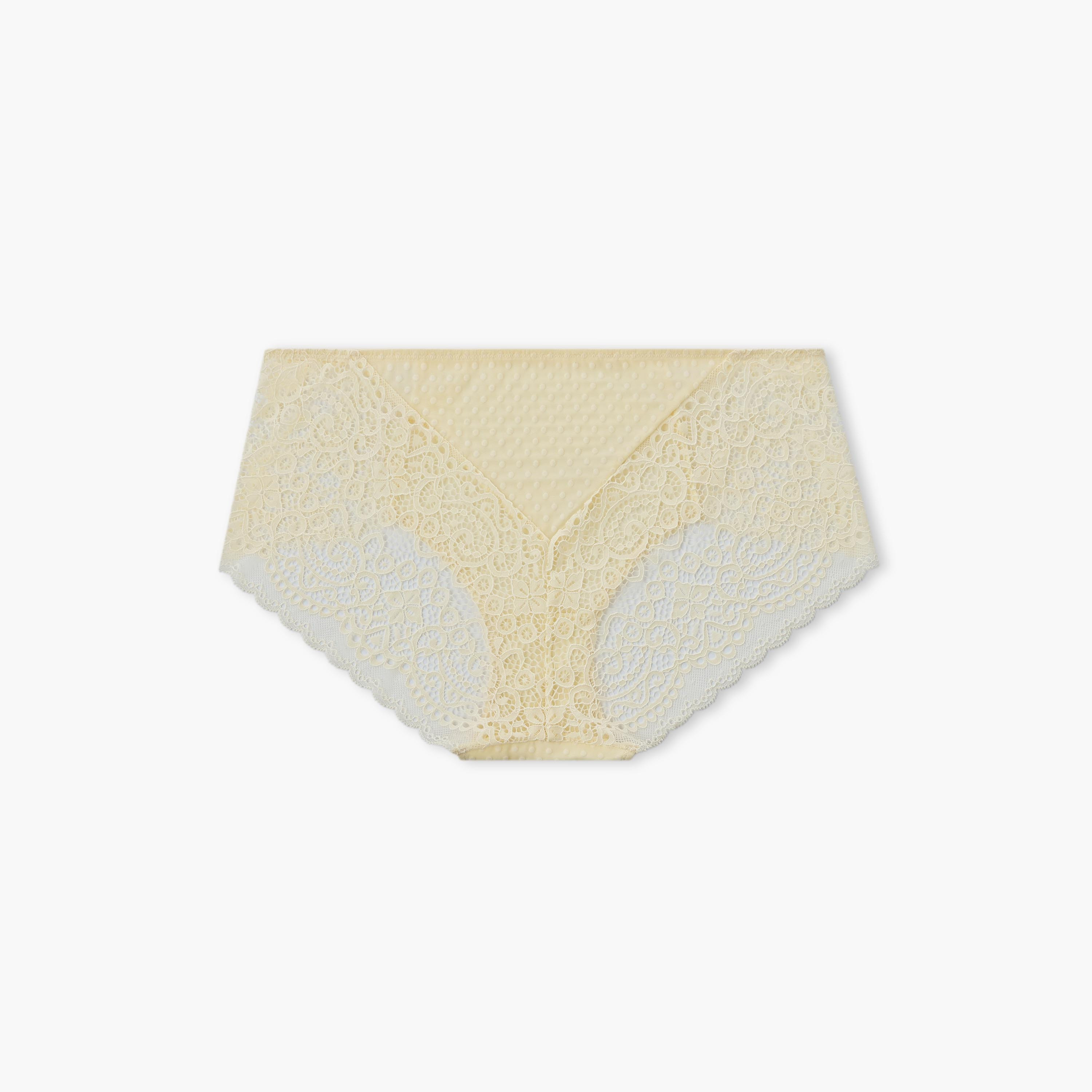 سروال داخلي كامل دانتيل من سبلاش إنتيميتس-women-clothing-plussize-lingerie-panties-image-2